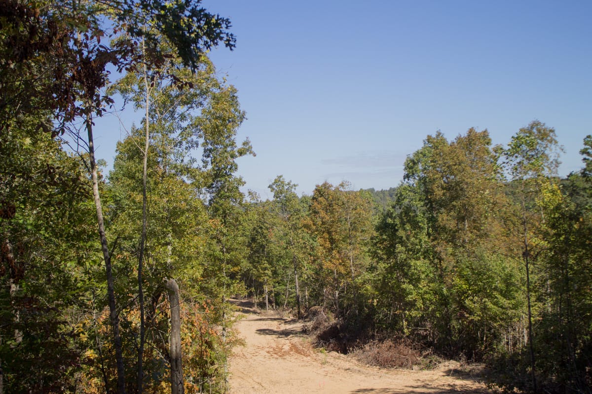 Black Oak Ranch Tract 2 photo 1