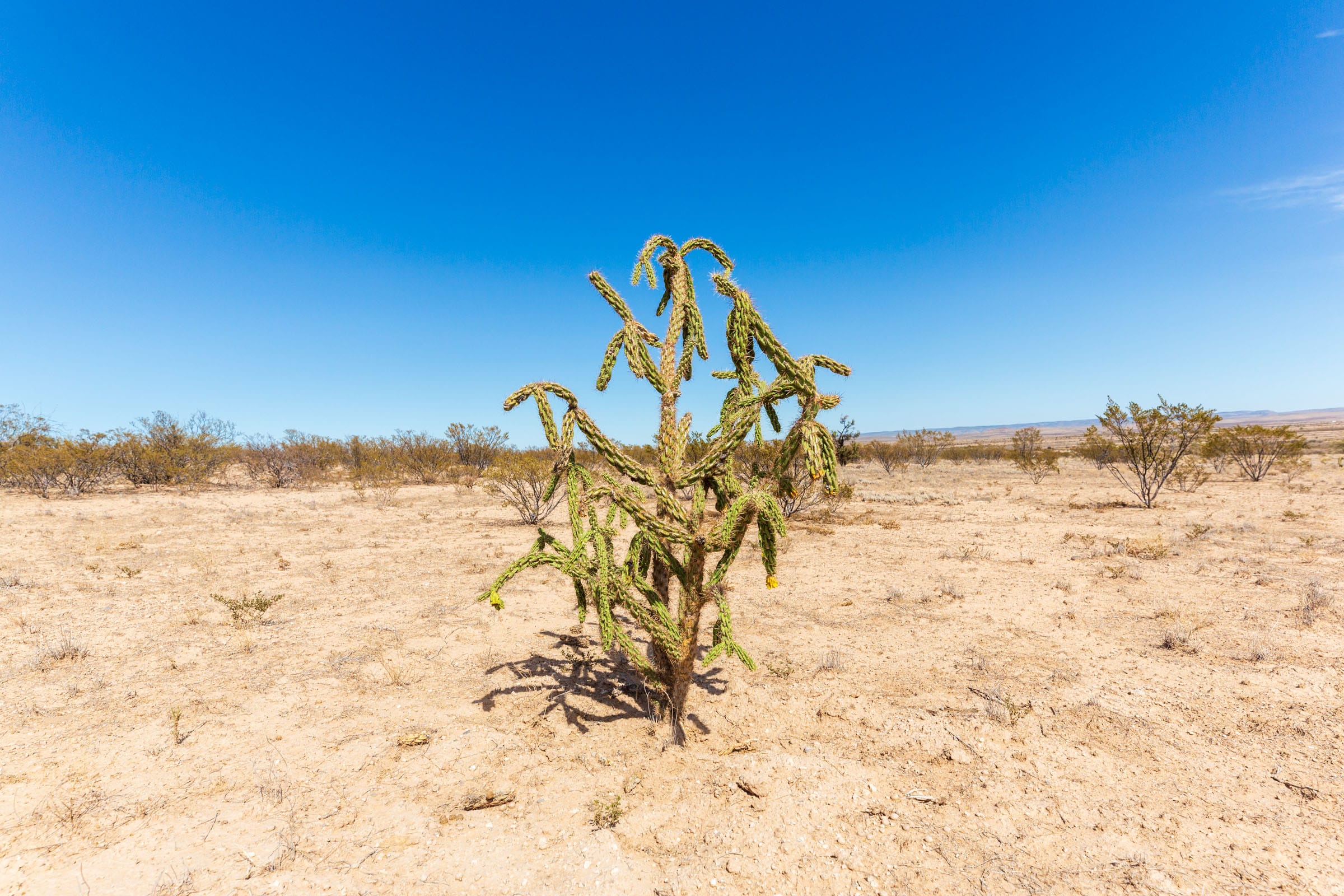 Sunrise Ranches Phase III Tract 141 photo 14