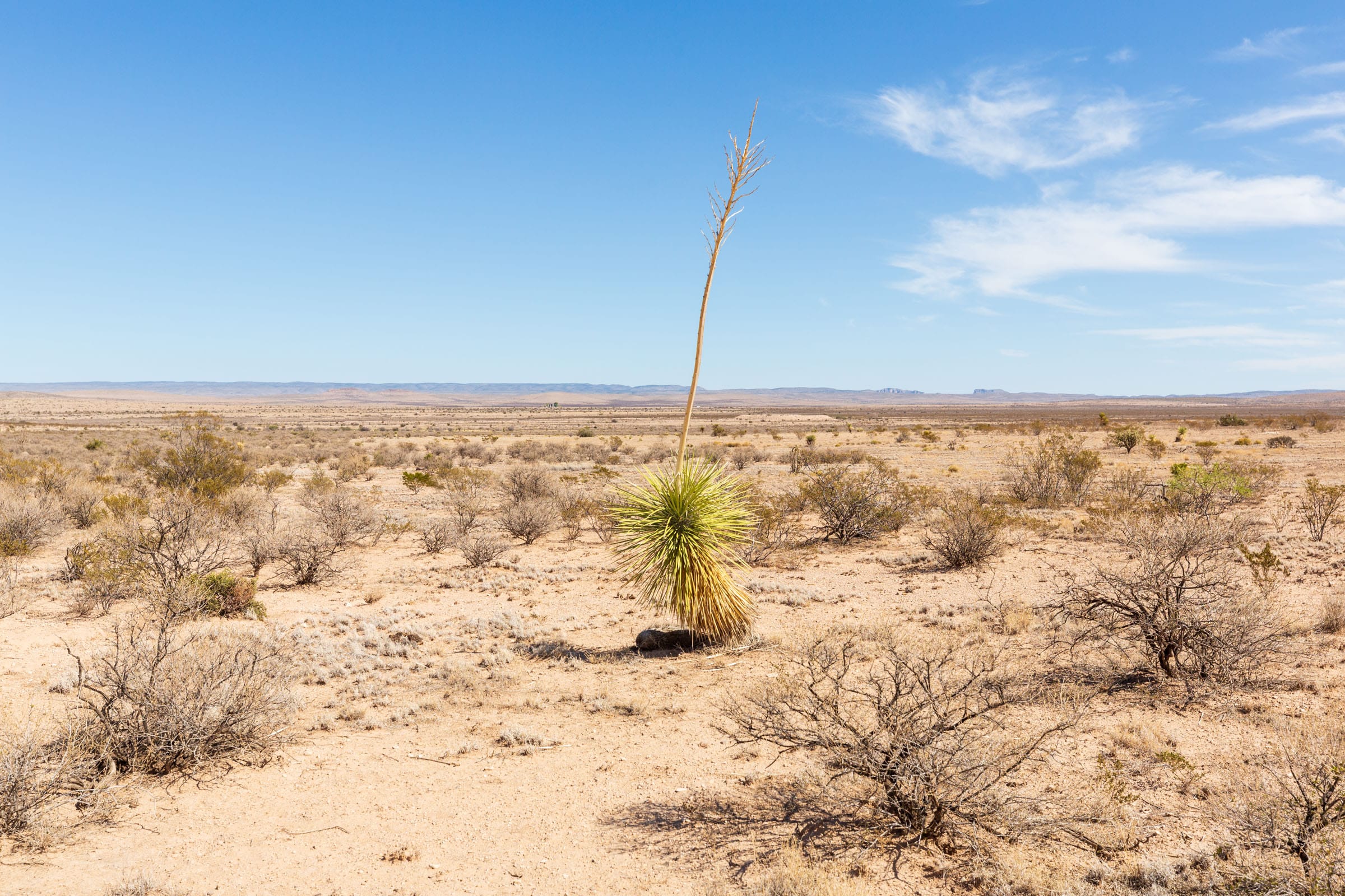Sunrise Ranches Phase III Tract 141 photo 16