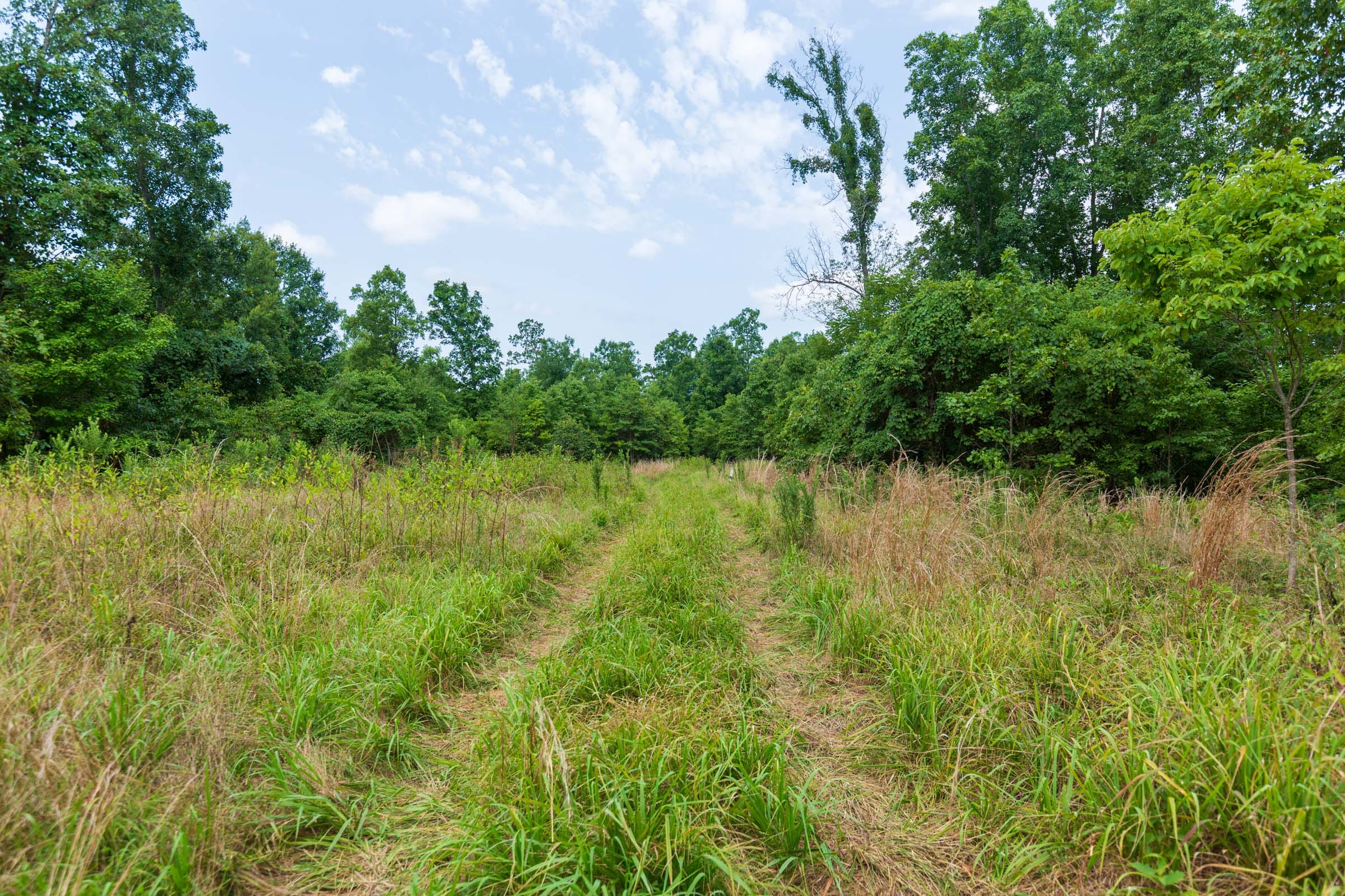 Cypress Ridge Tract 23 photo 1
