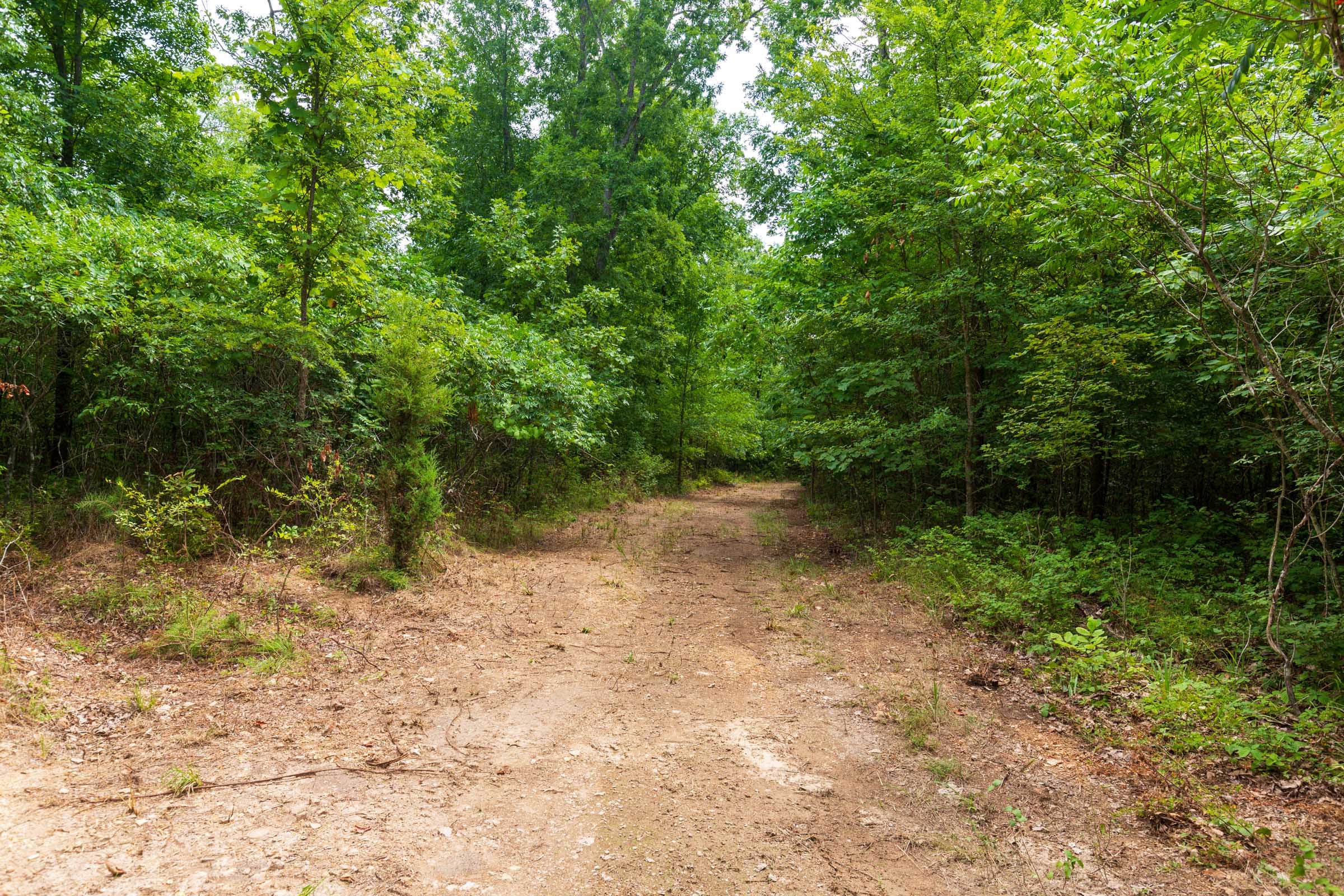 Cypress Ridge Tract 23 photo 16