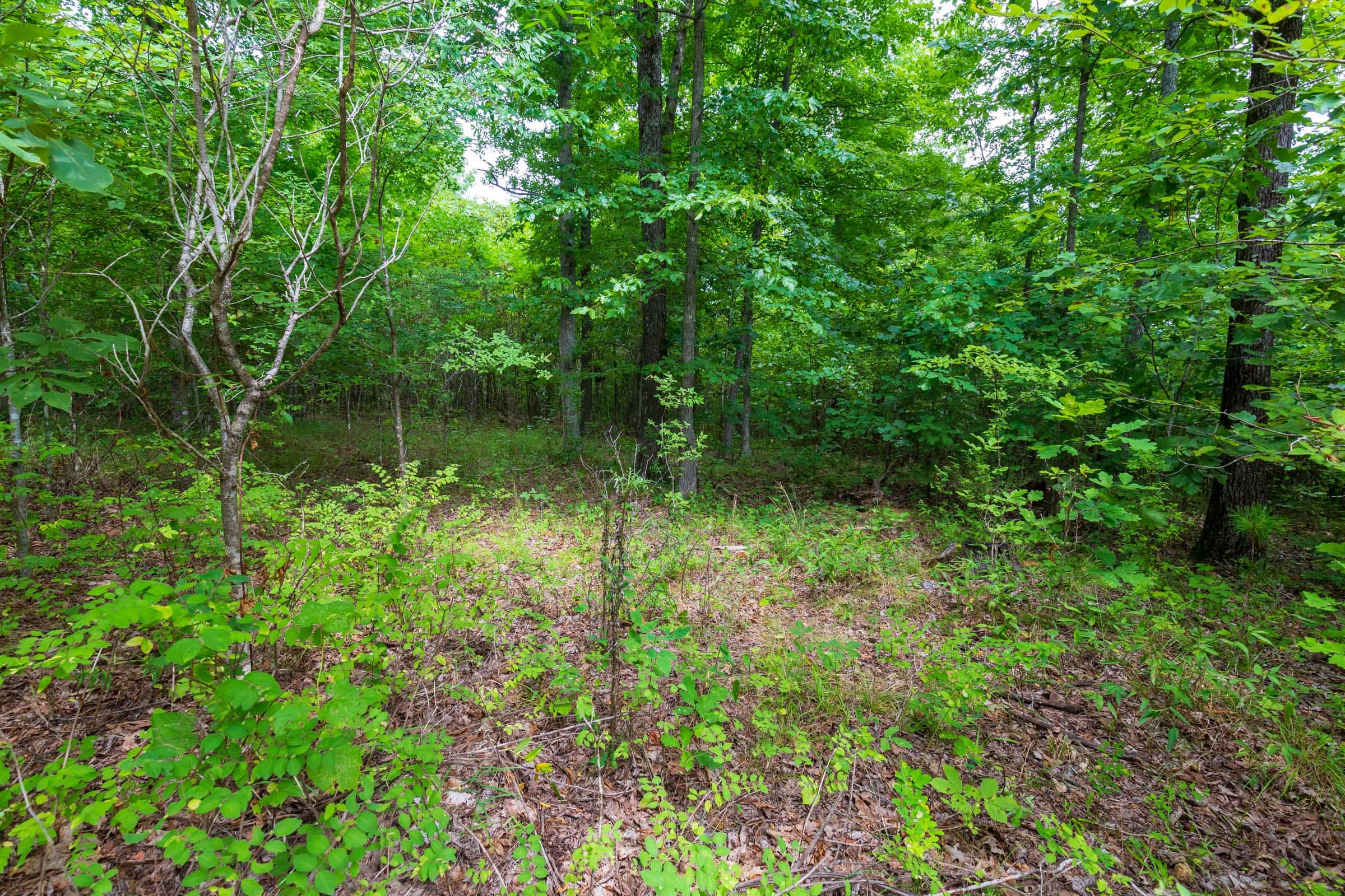 Cypress Ridge Tract 23 photo 10