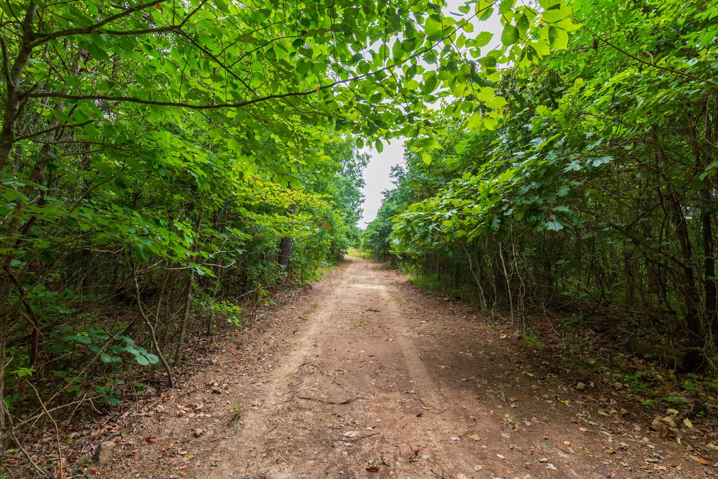 Cypress Ridge Tract 23 photo 8