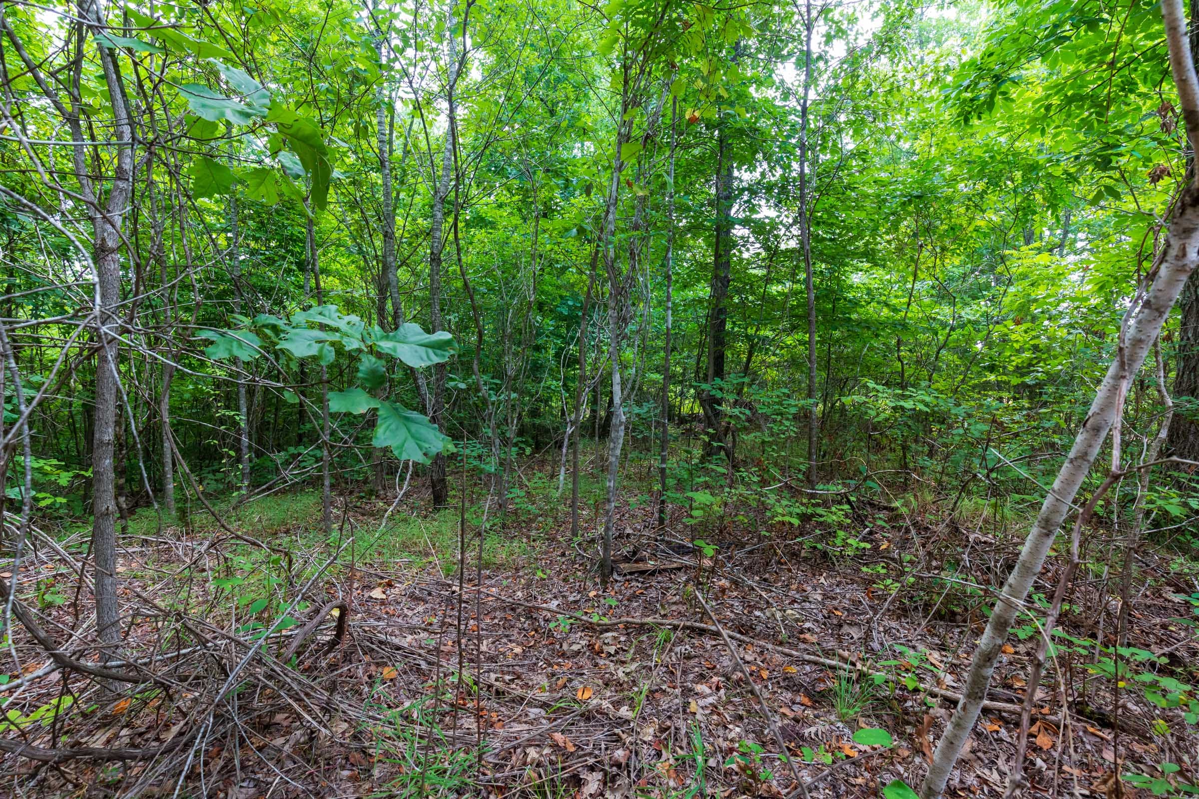 Cypress Ridge Tract 23 photo 12