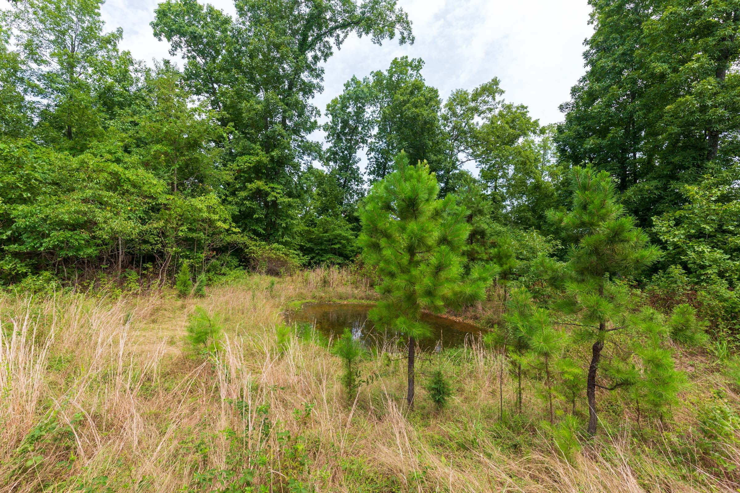 Cypress Ridge Tract 23 photo 3