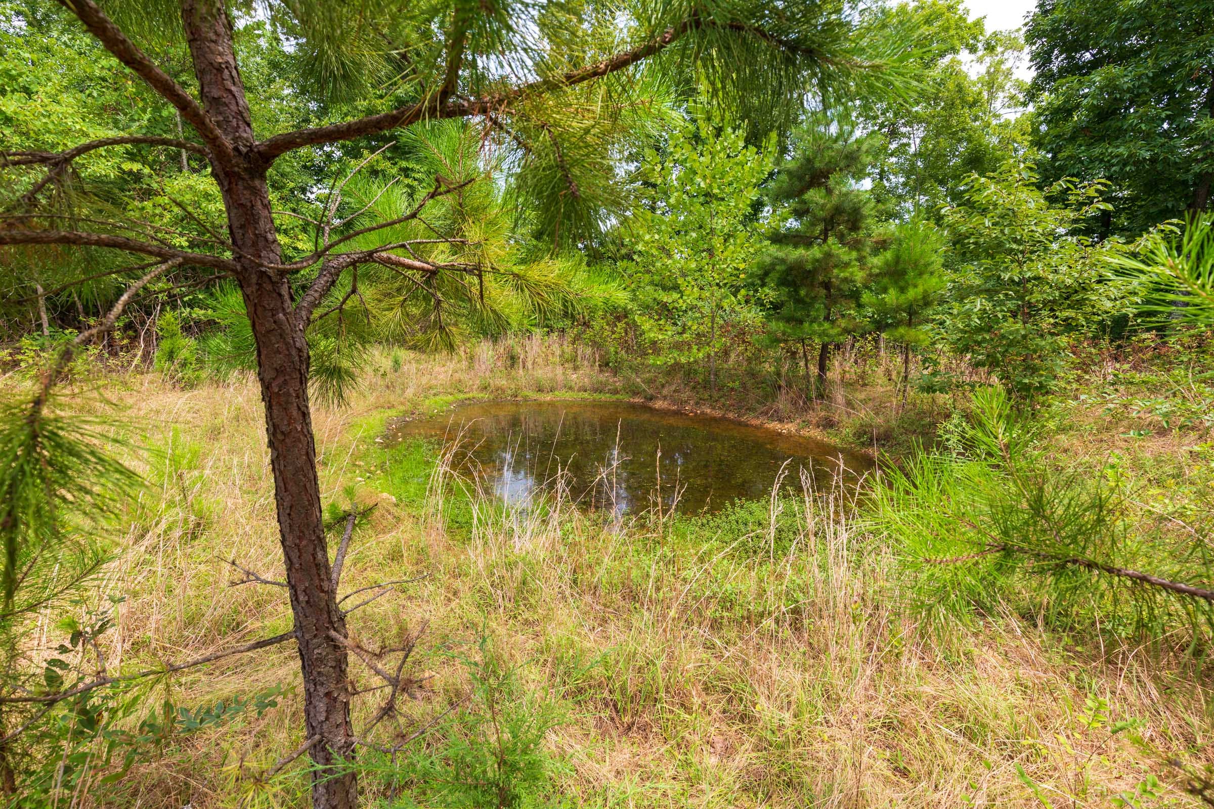 Cypress Ridge Tract 23 photo 2