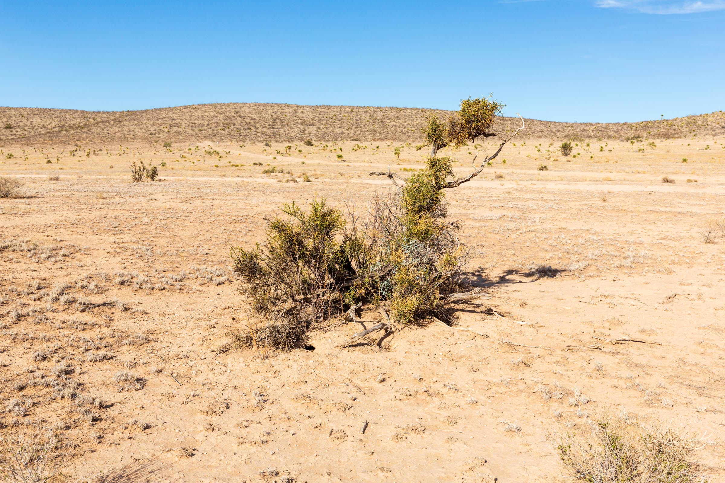 Sunrise Ranches Phase III Tract 100 photo 2