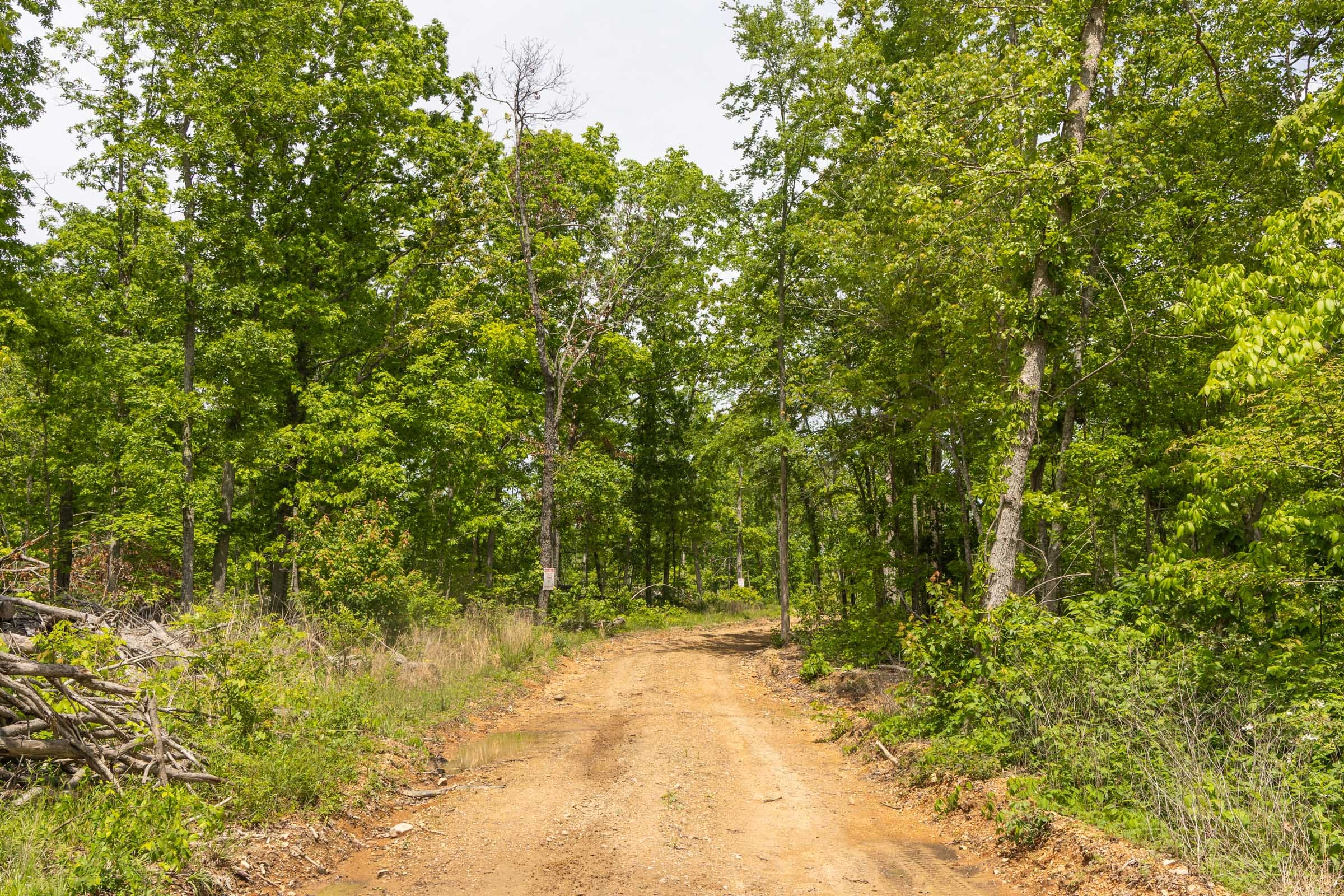 Stardust Estates Tract 11 photo 7