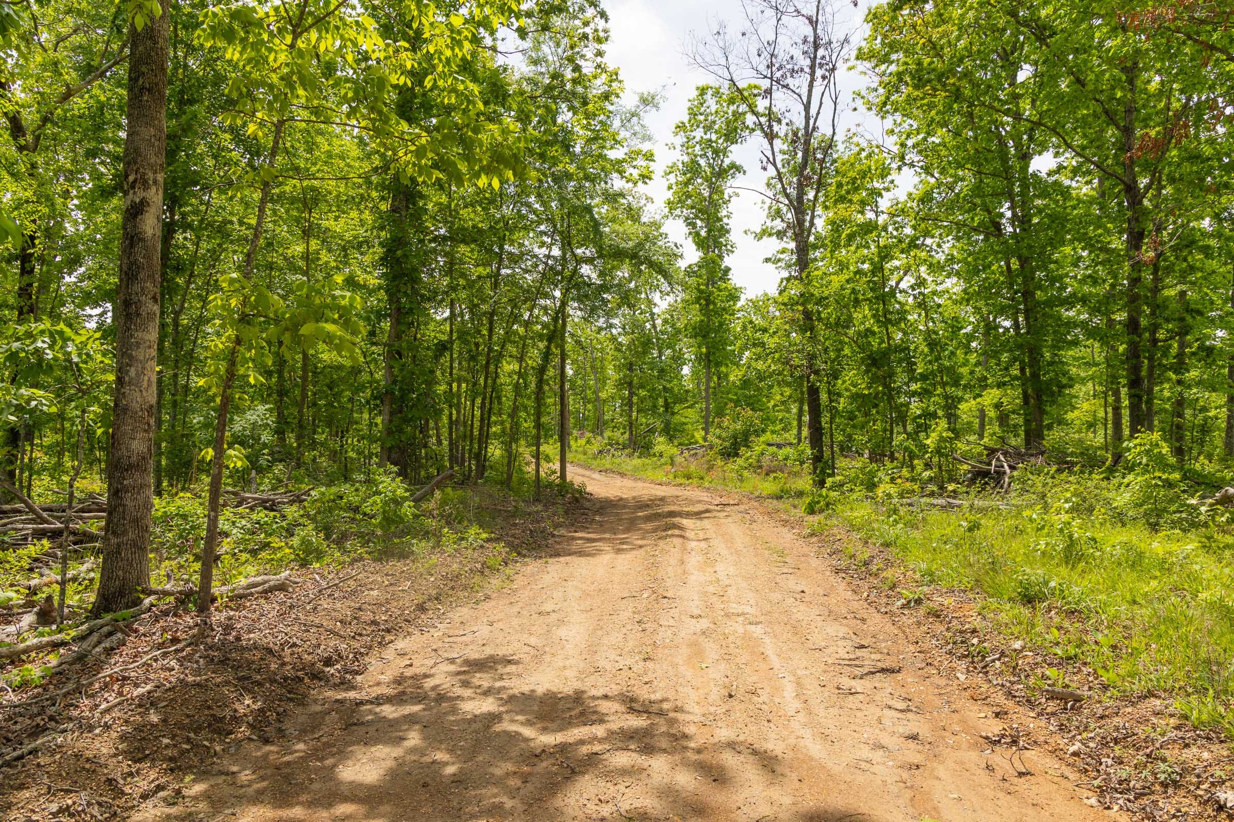 Stardust Estates Tract 11 photo 2