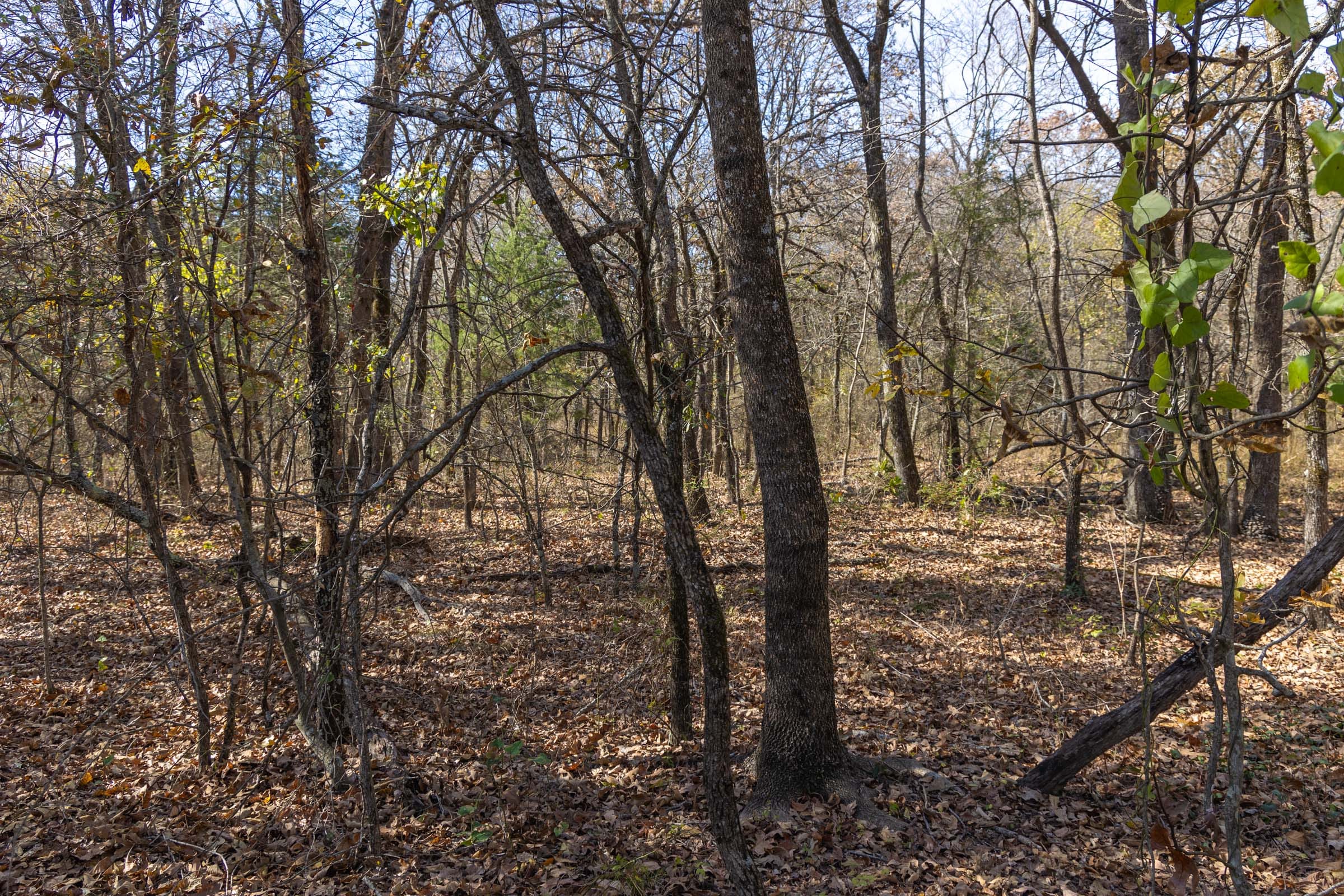 Harmony Hills Tract 41 photo 2