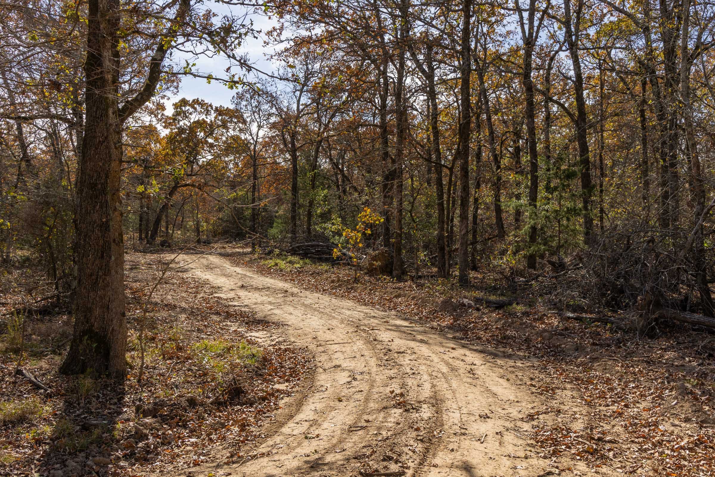 Harmony Hills Tract 41 photo 3