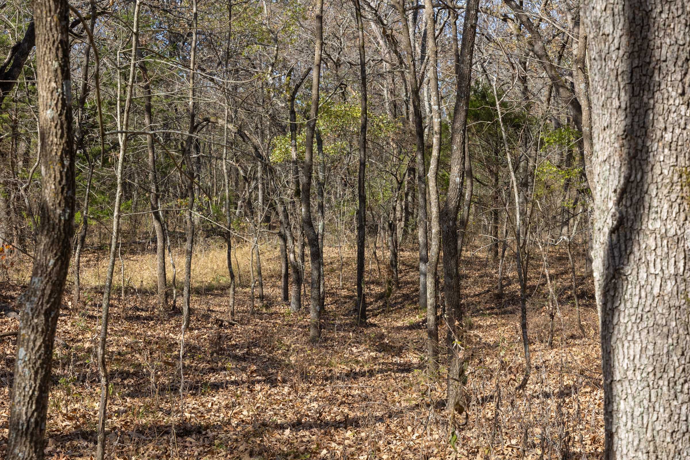 Harmony Hills Tract 41 photo 6