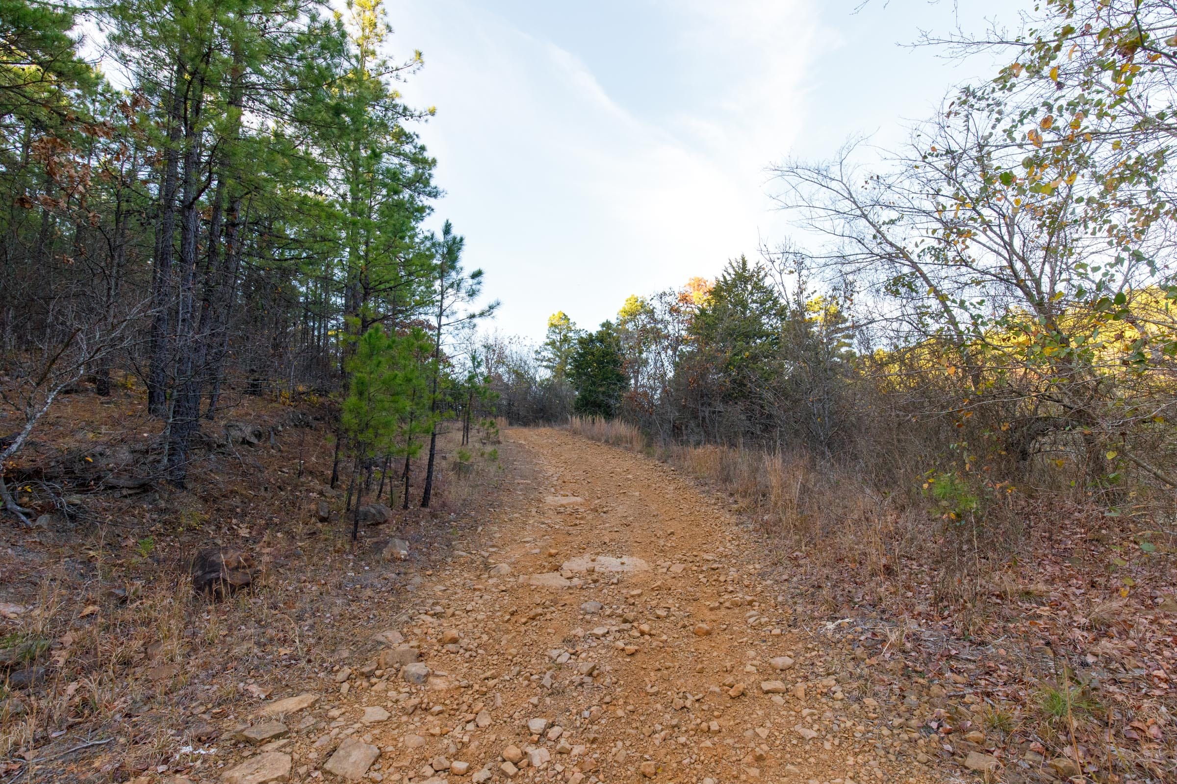 Stone Bridge Phase II Tract 117 photo 4