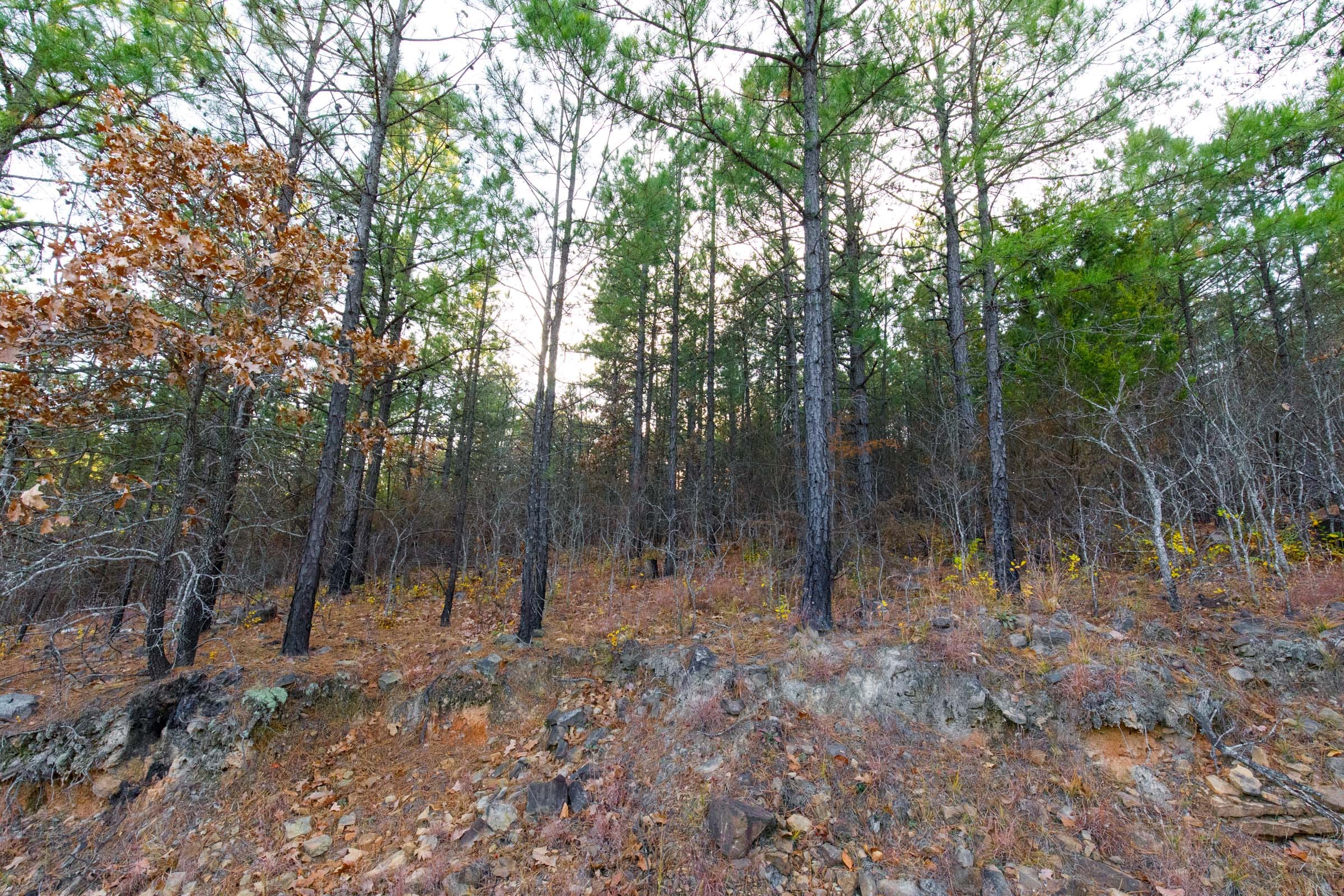 Stone Bridge Phase II Tract 117 photo 6