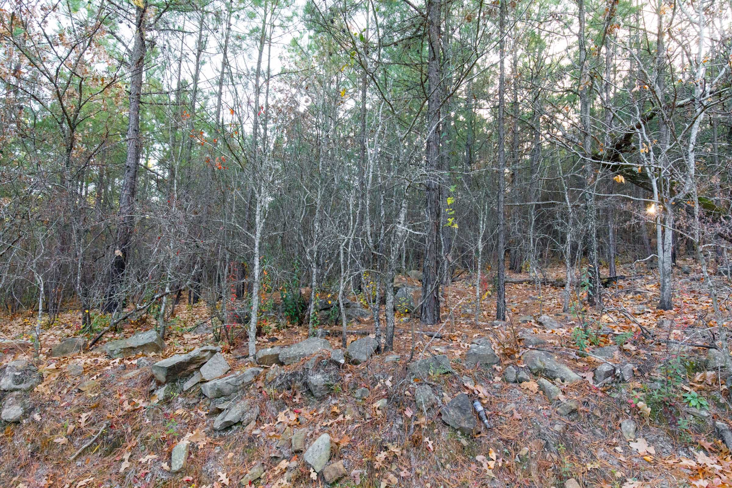 Stone Bridge Phase II Tract 117 photo 7