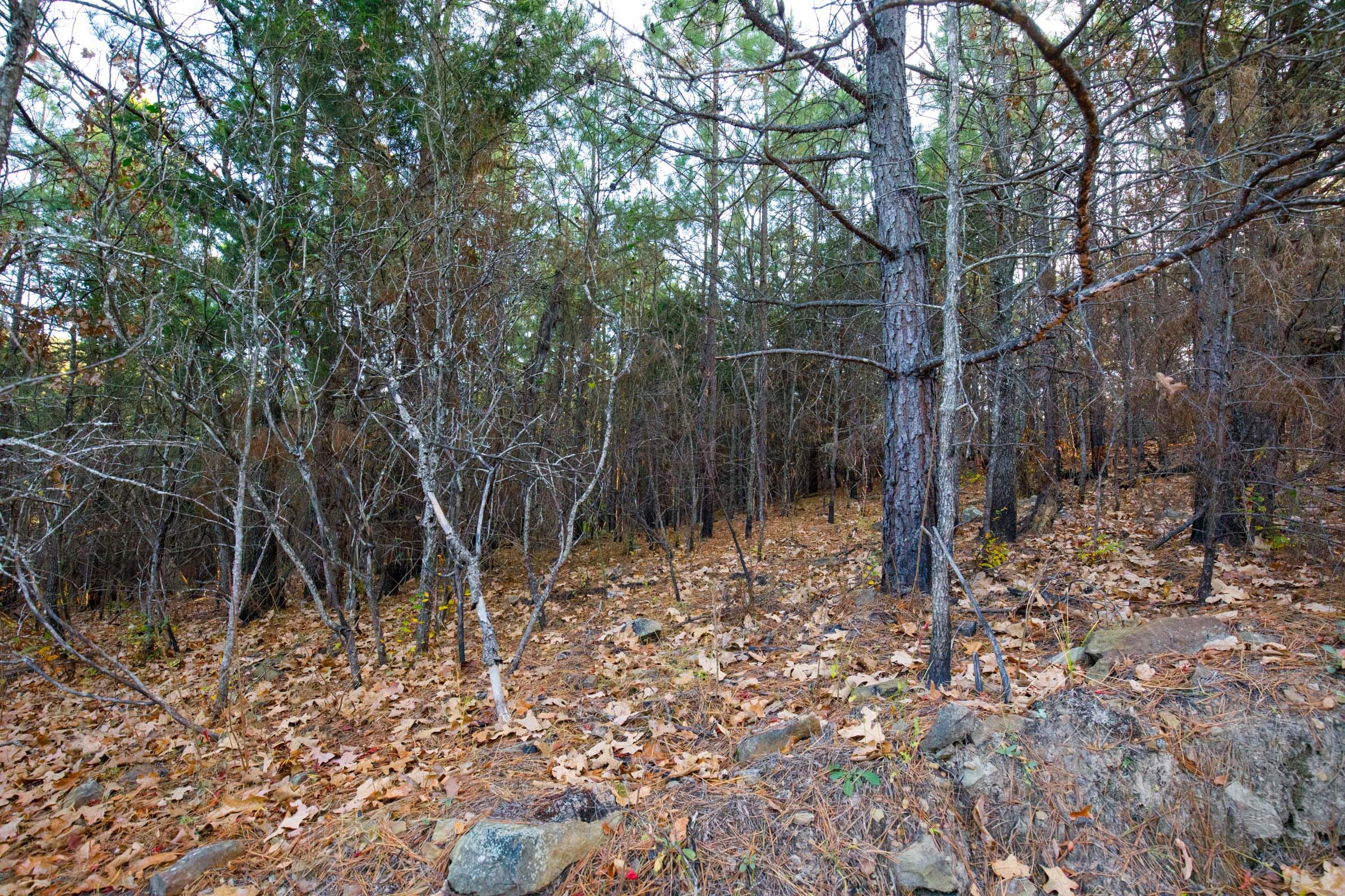Stone Bridge Phase II Tract 117 photo 10