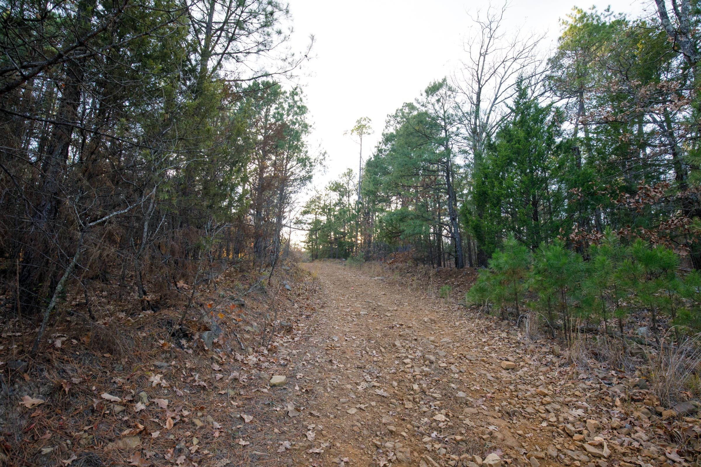 Stone Bridge Phase II Tract 117 photo 8