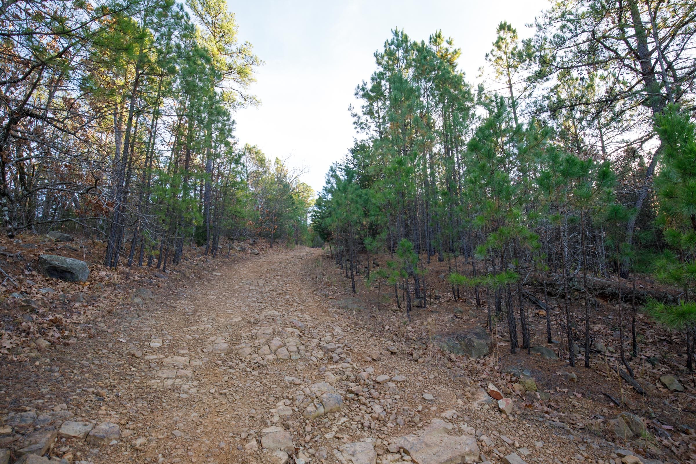 Stone Bridge Phase II Tract 117 photo 11