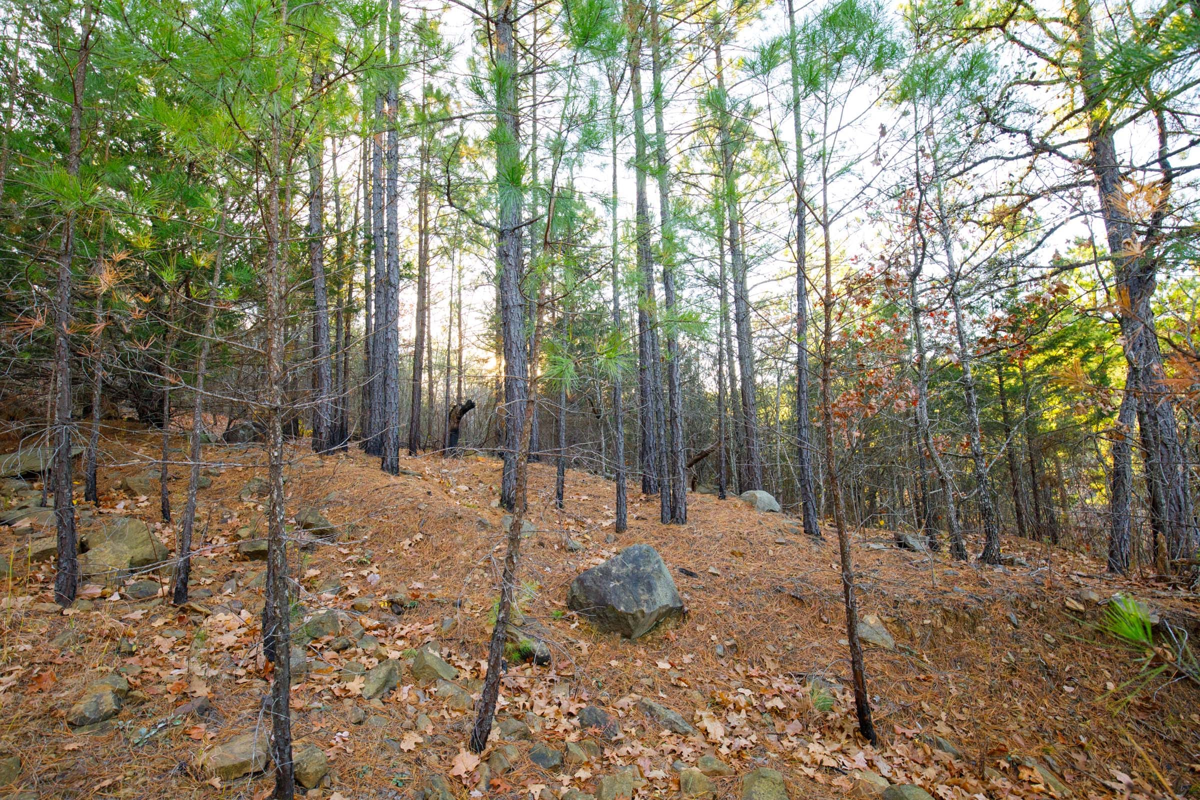 Stone Bridge Phase II Tract 117 photo 12