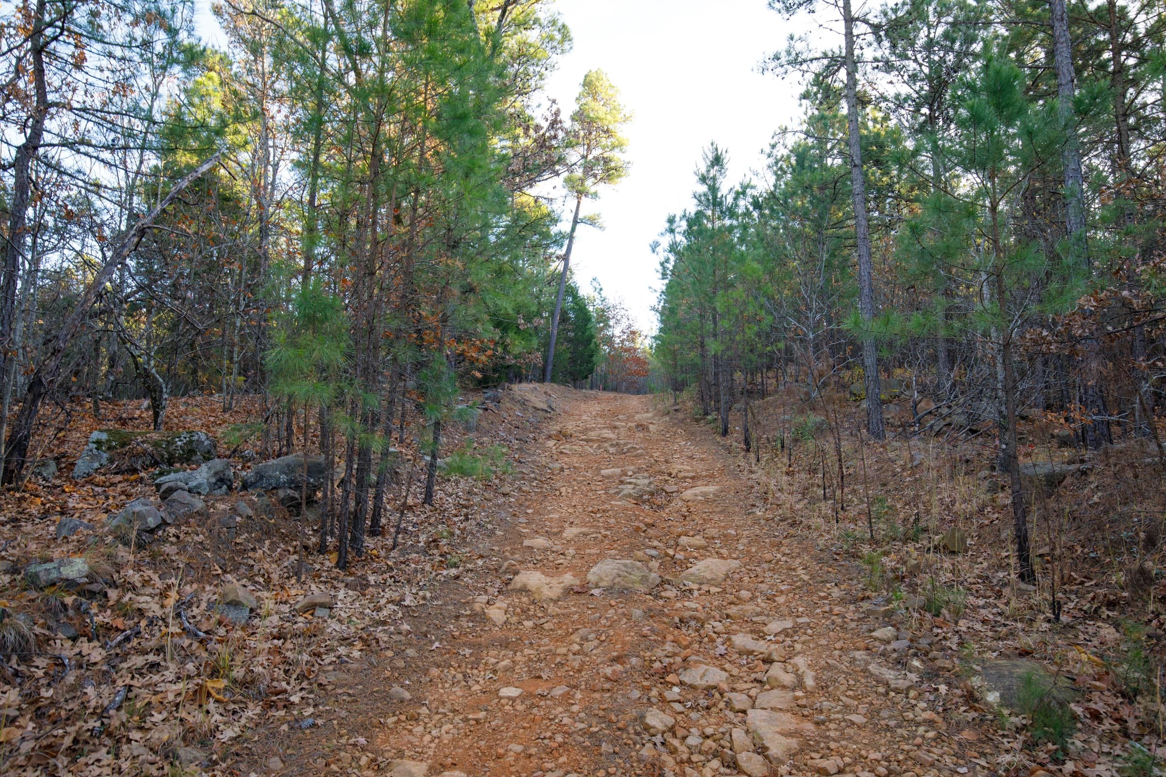 Stone Bridge Phase II Tract 117 photo 14
