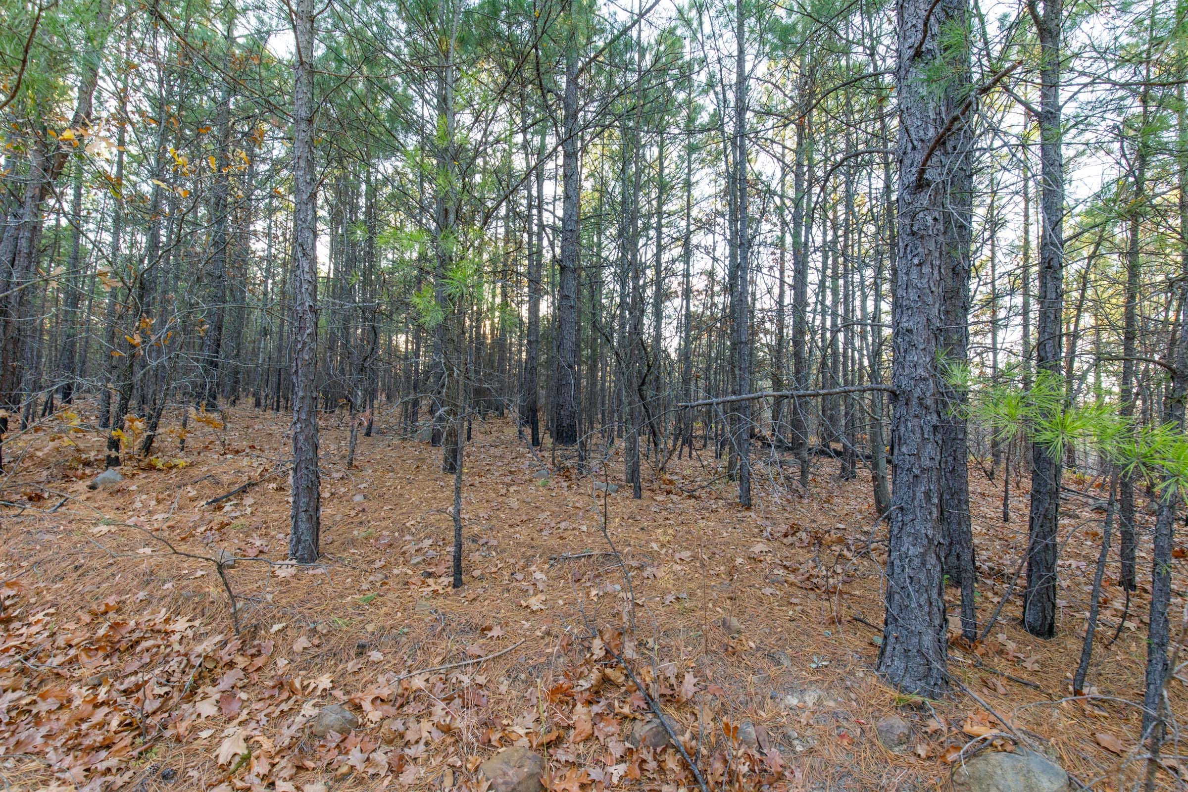 Stone Bridge Phase II Tract 117 photo 15