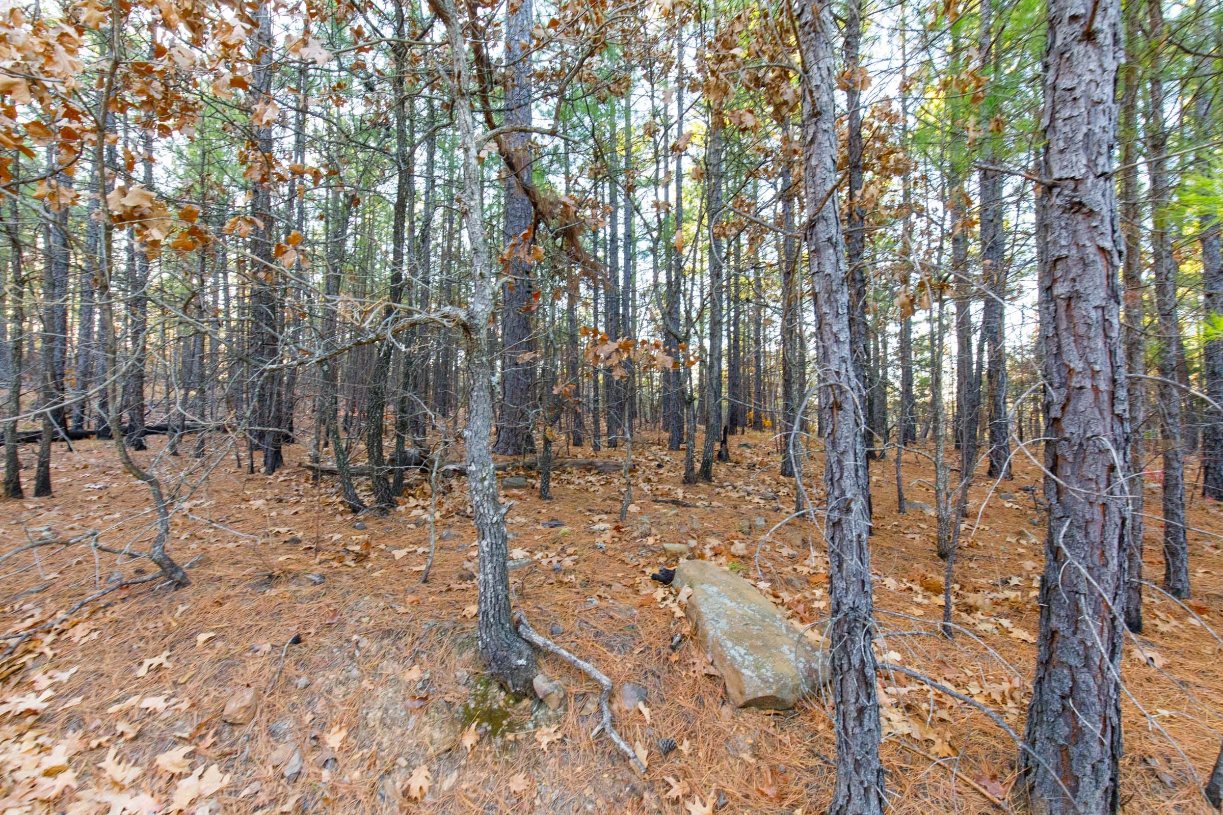 Stone Bridge Phase II Tract 117 photo 19