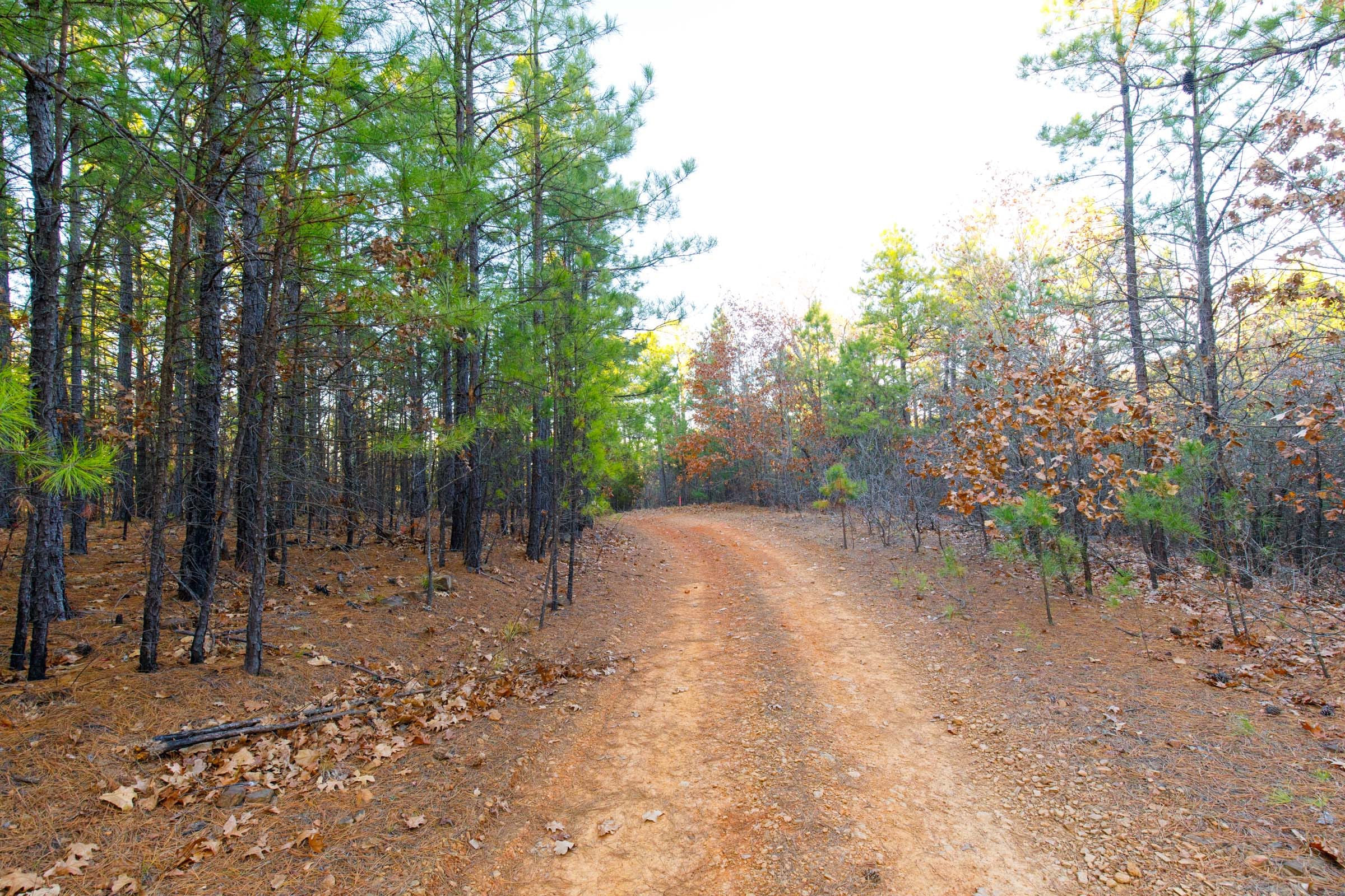 Stone Bridge Phase II Tract 117 photo 17