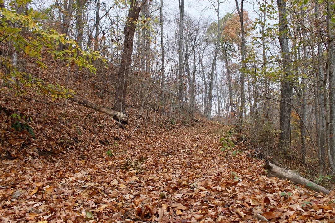 Autumn Ridge Tract 23 photo 1
