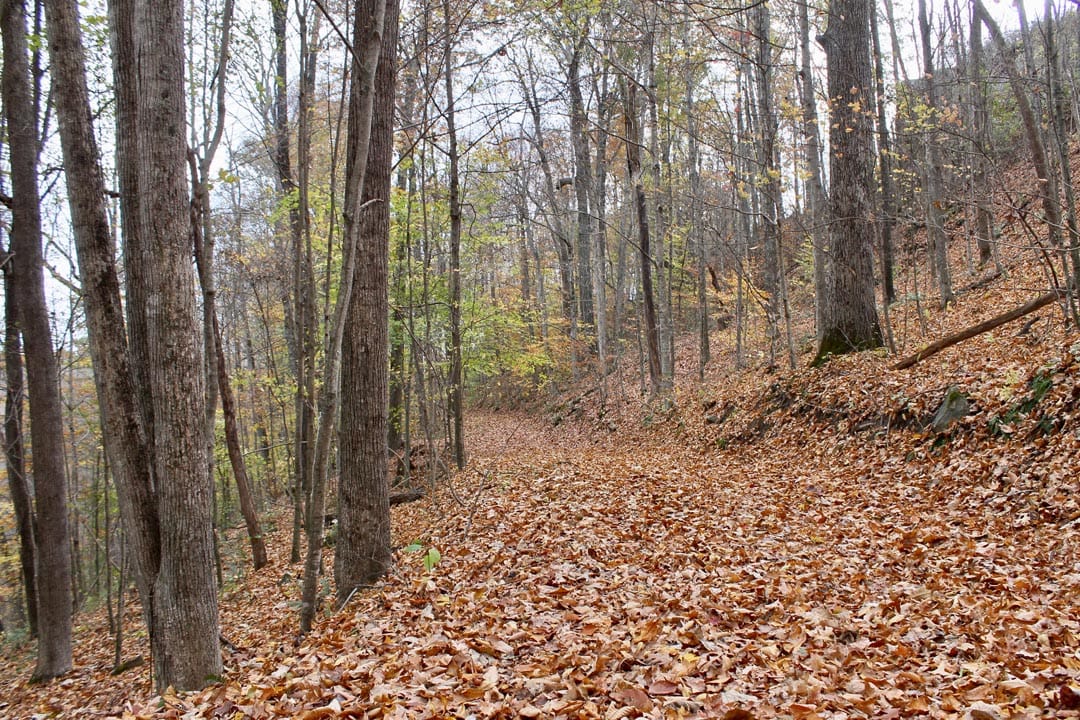 Autumn Ridge Tract 23 photo 6
