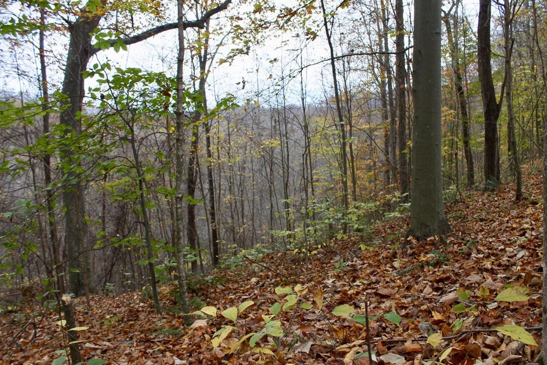 Autumn Ridge Tract 23 photo 2