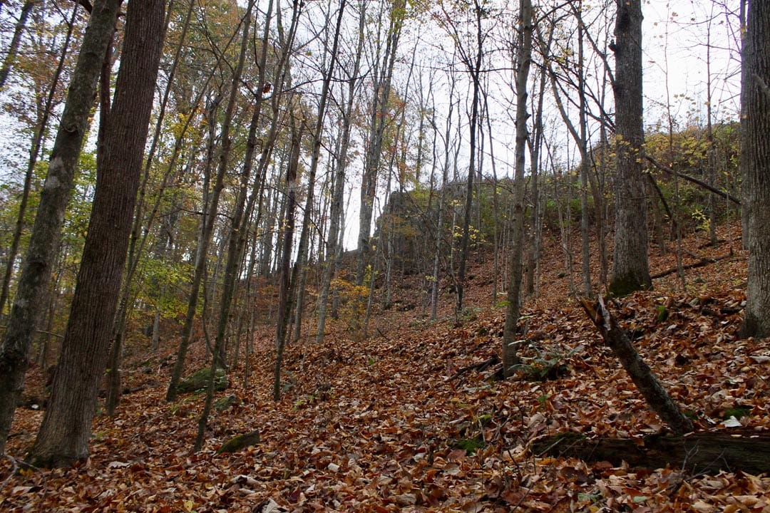 Autumn Ridge Tract 23 photo 3