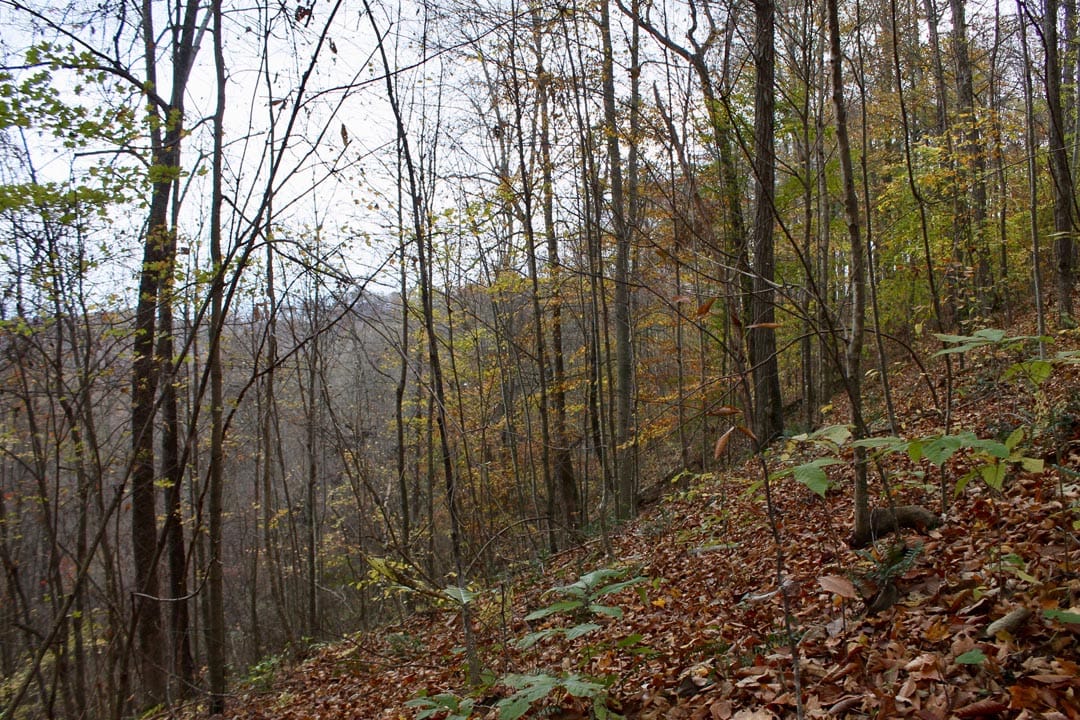 Autumn Ridge Tract 23 photo 5