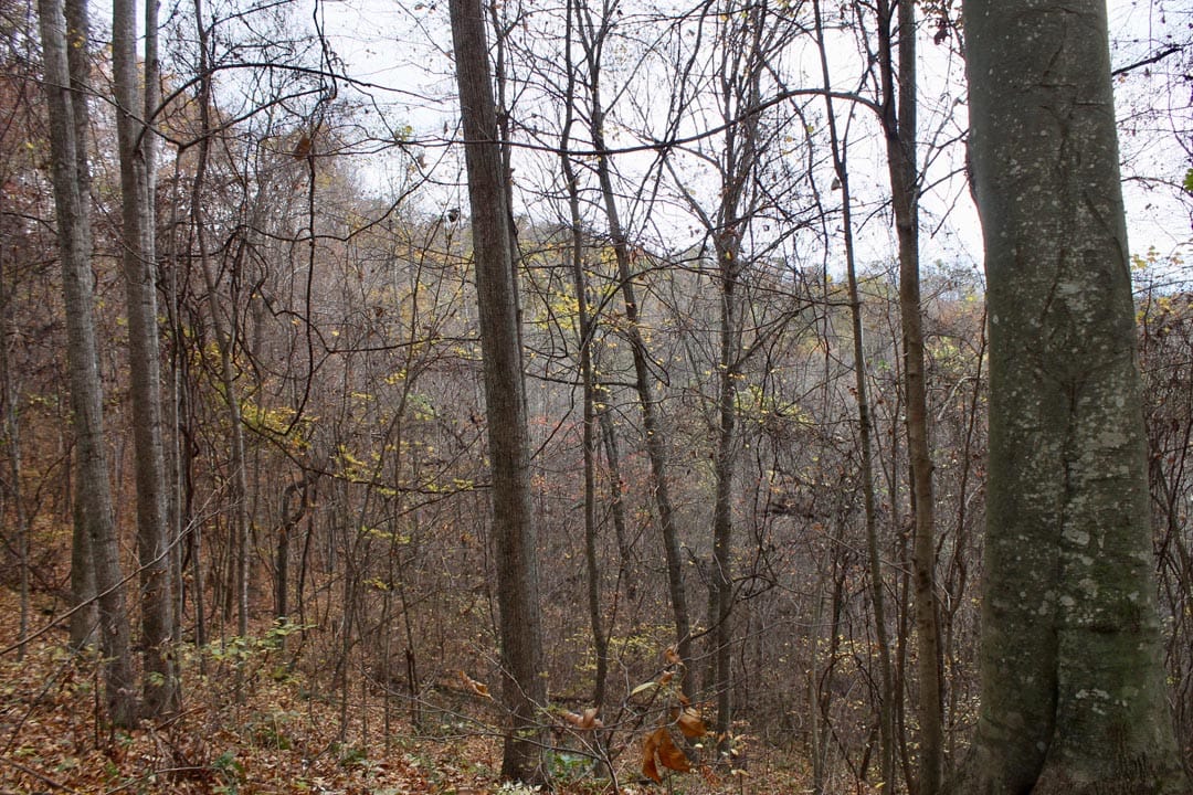 Autumn Ridge Tract 23 photo 7