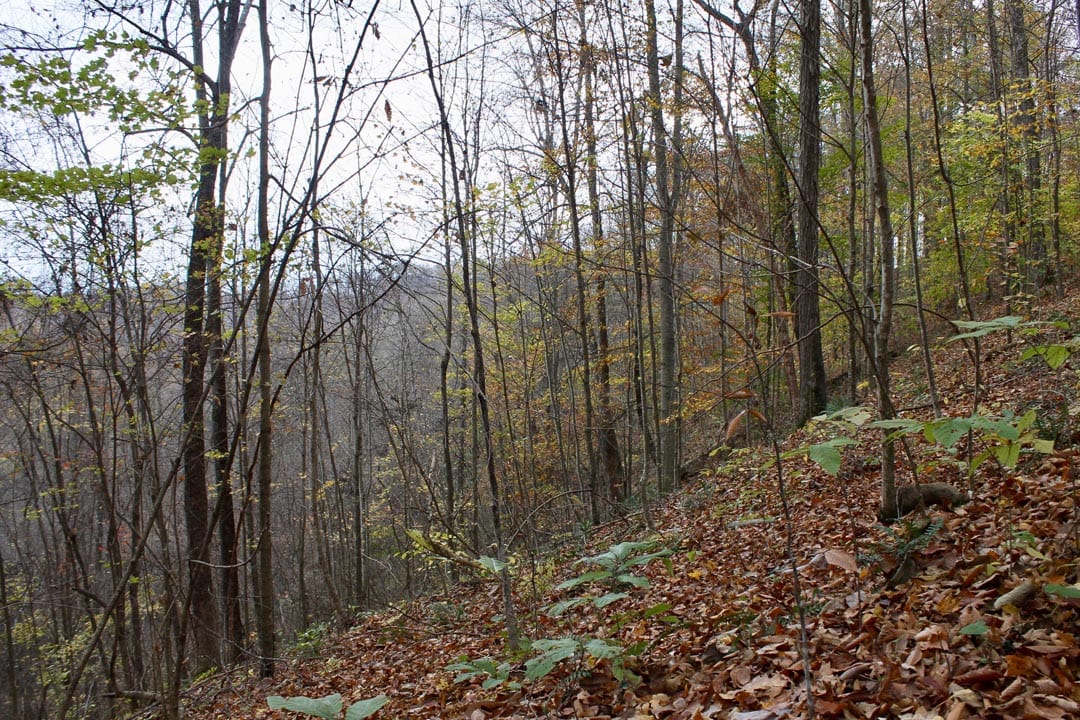Autumn Ridge Tract 23 photo 8
