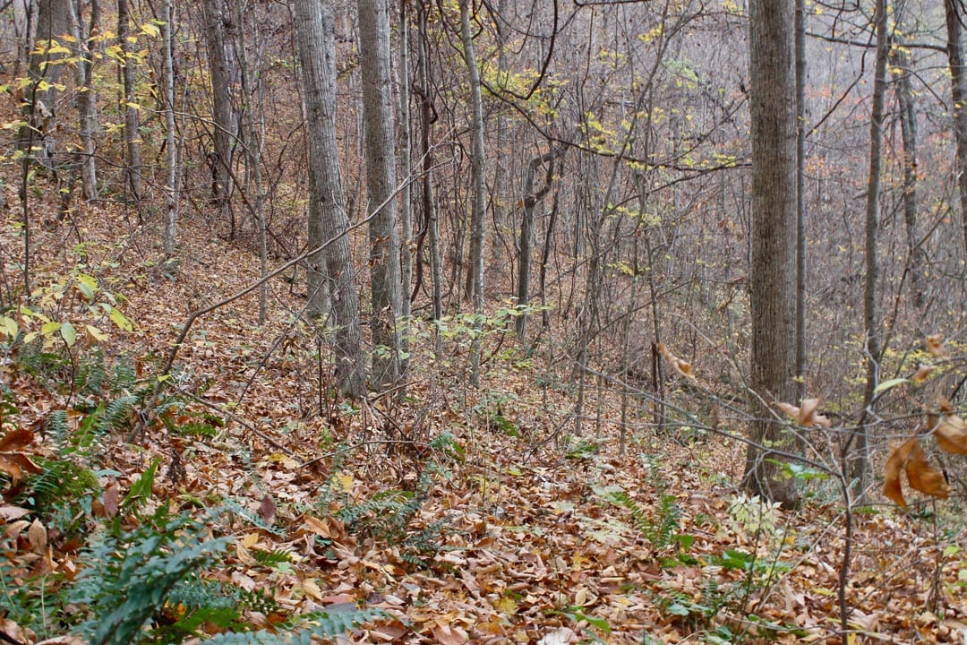 Autumn Ridge Tract 23 photo 9