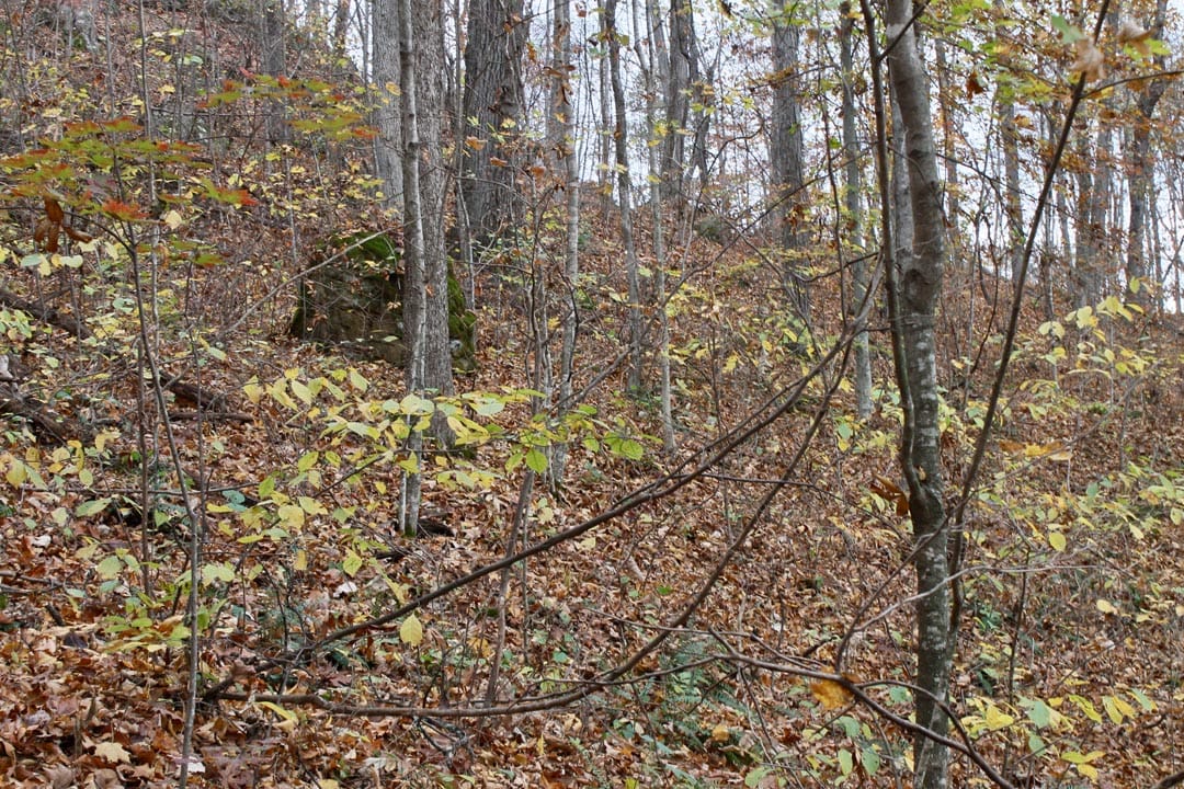 Autumn Ridge Tract 23 photo 10
