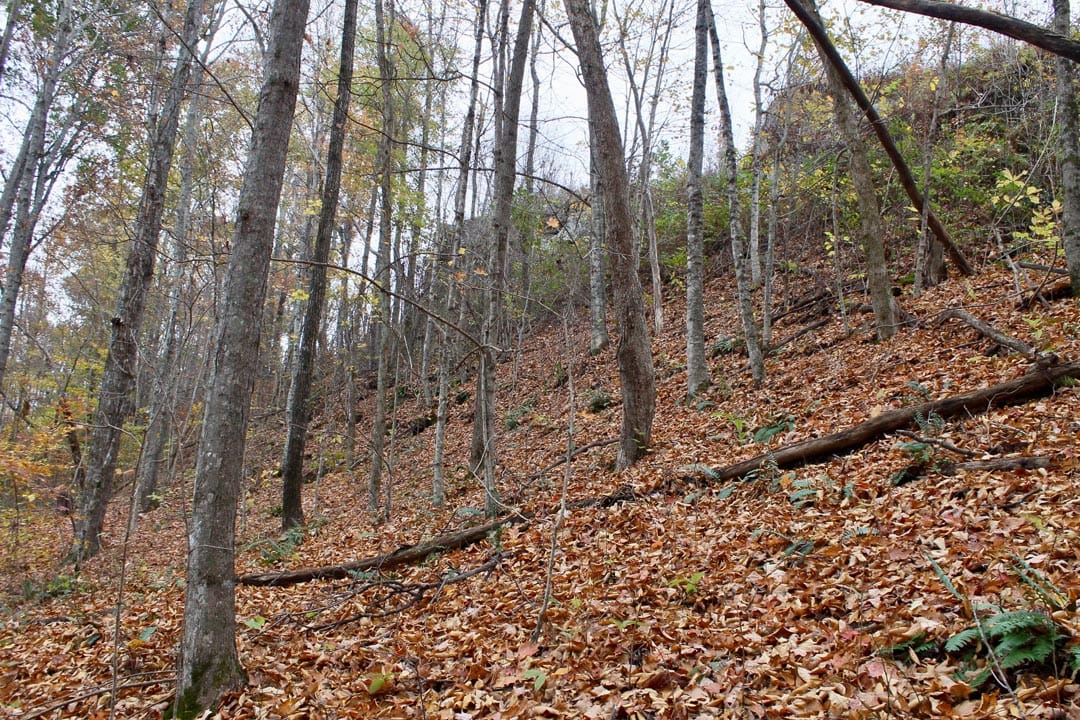Autumn Ridge Tract 23 photo 12