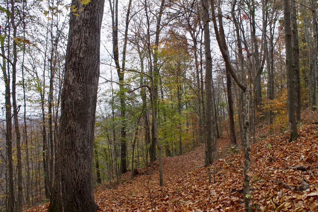 Autumn Ridge Tract 23 photo 14