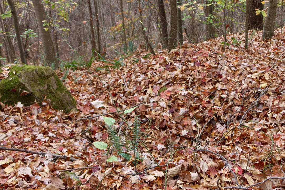 Autumn Ridge Tract 23 photo 17