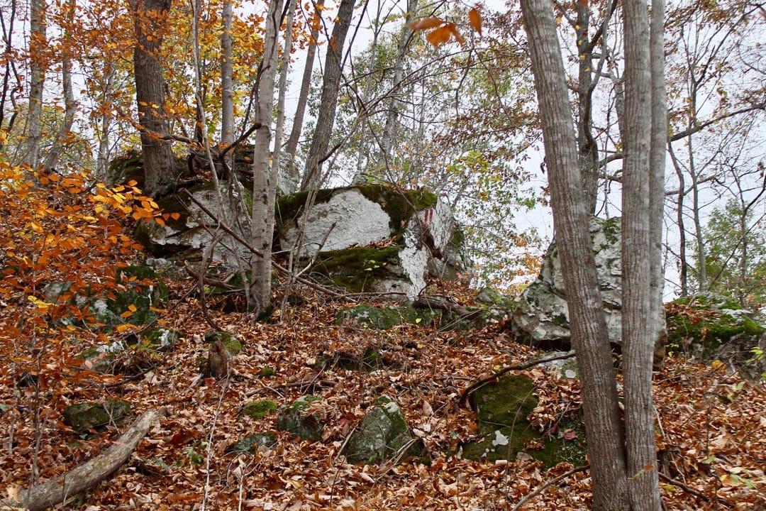 Autumn Ridge Tract 23 photo 19
