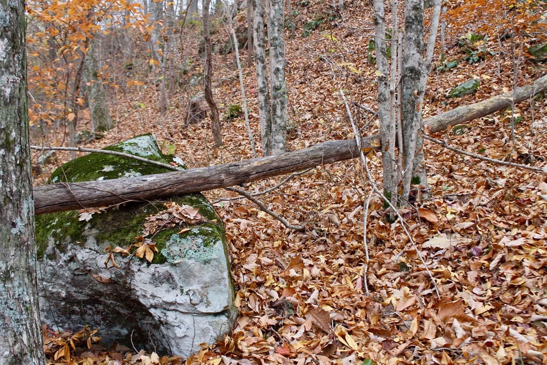 Autumn Ridge Tract 23 photo 20