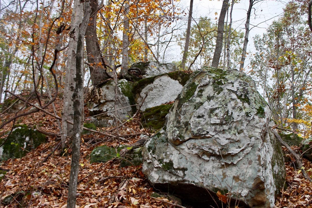 Autumn Ridge Tract 23 photo 22