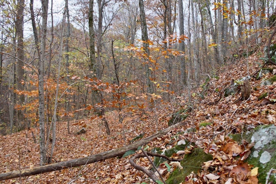 Autumn Ridge Tract 23 photo 23