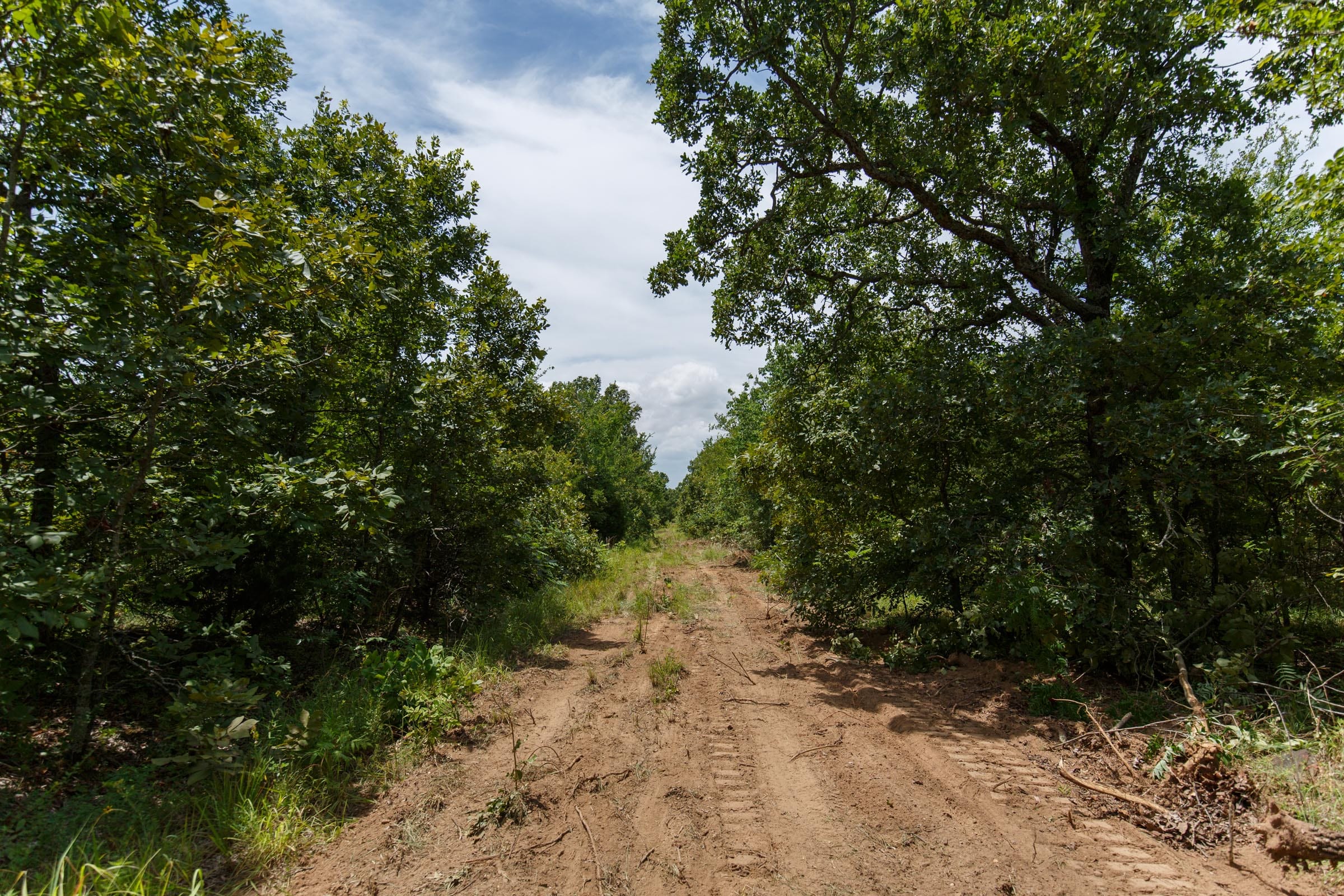 Timber Ridge Tract 18 photo 1
