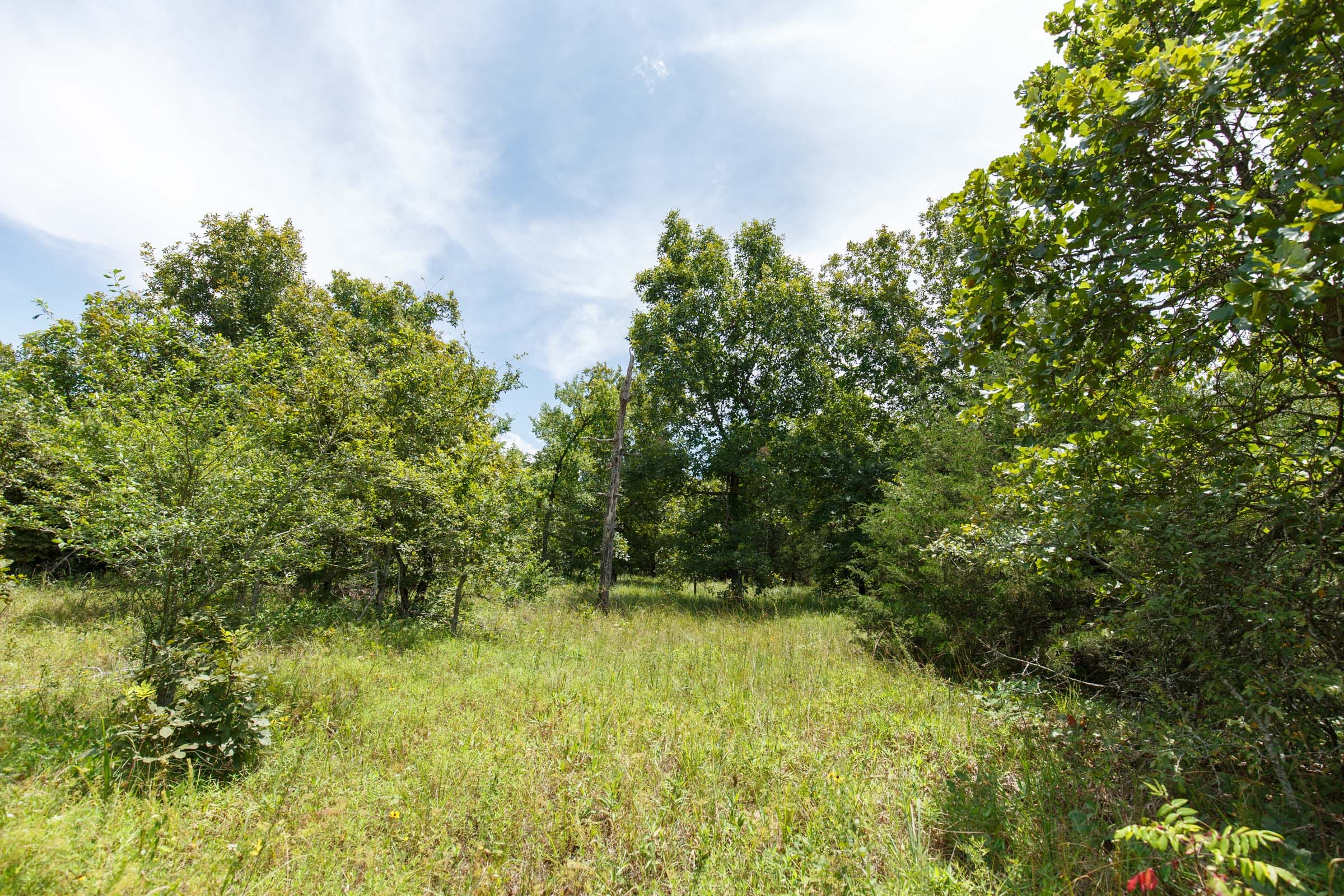 Timber Ridge Tract 18 photo 4