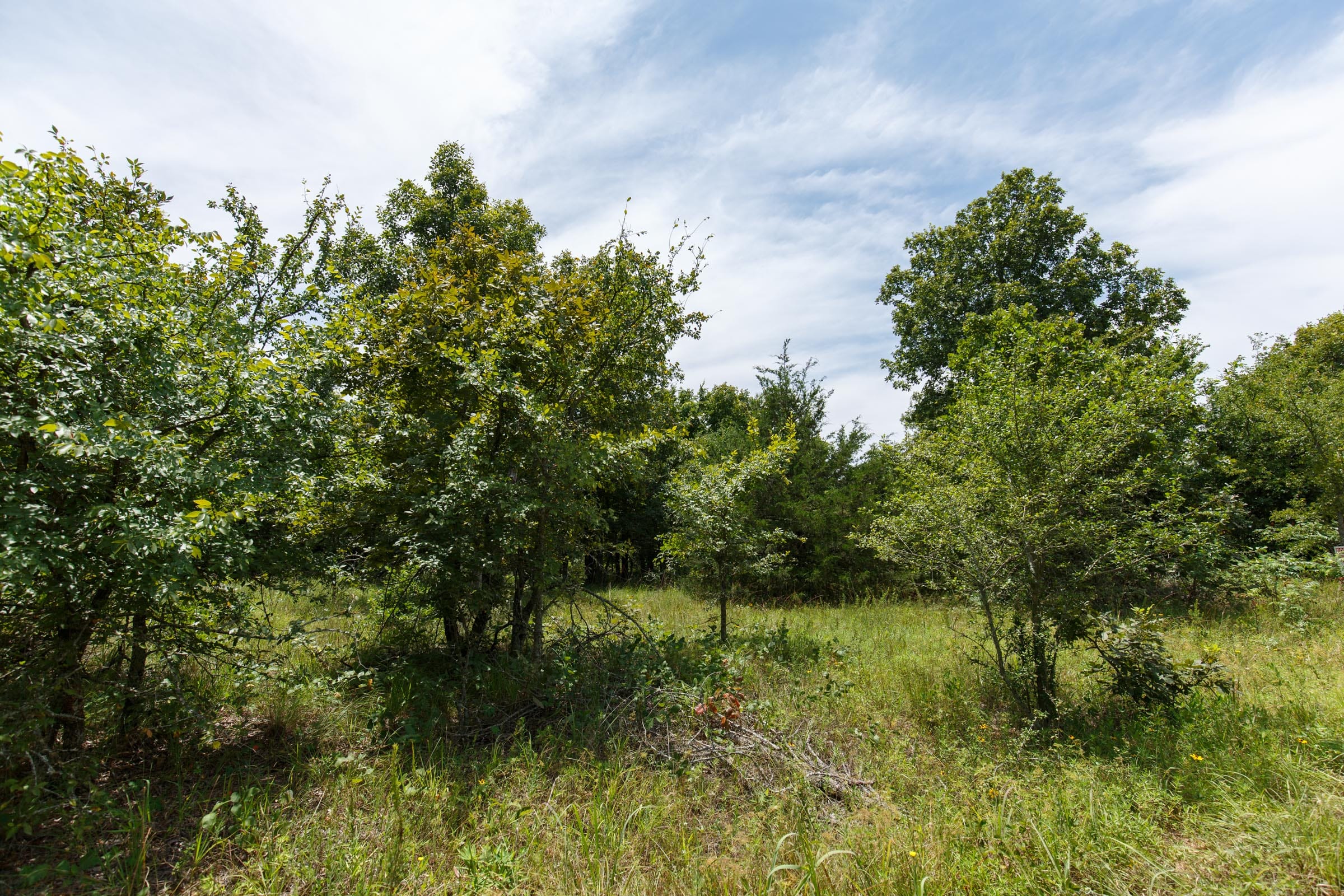 Timber Ridge Tract 18 photo 6