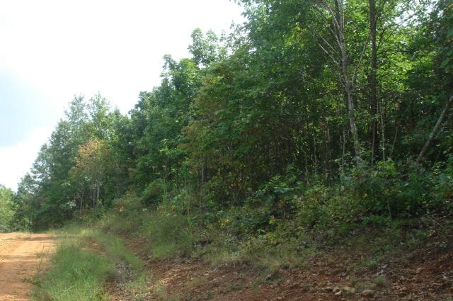 Sugartree Falls Tract 21 photo 1