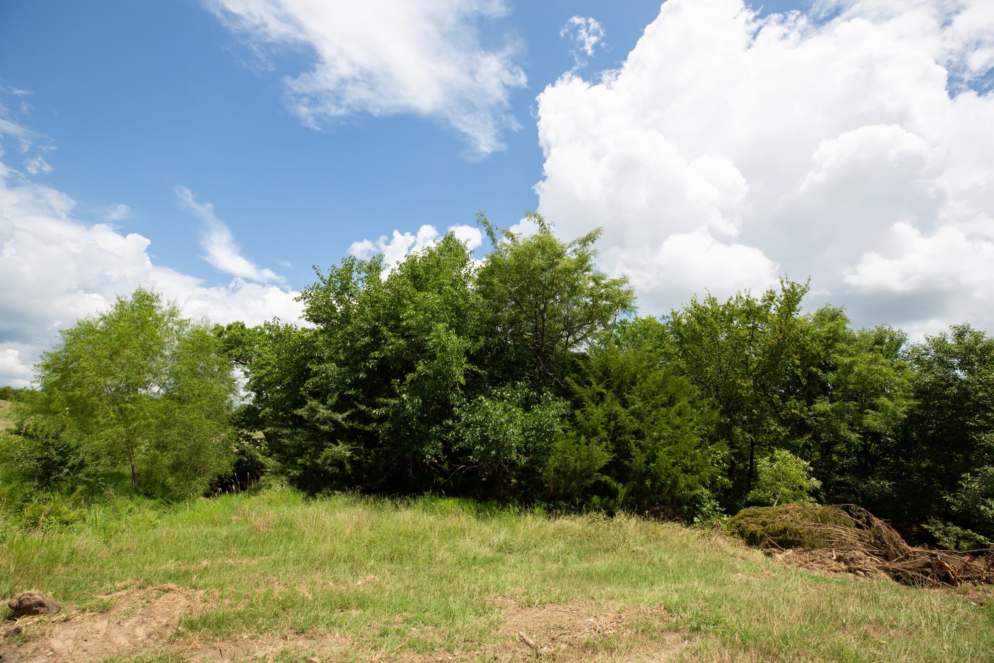 Paradise Valley Tract 2 photo 2