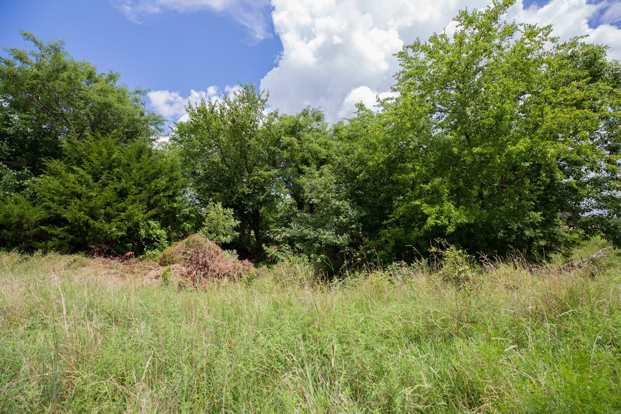 Paradise Valley Tract 2 photo 3