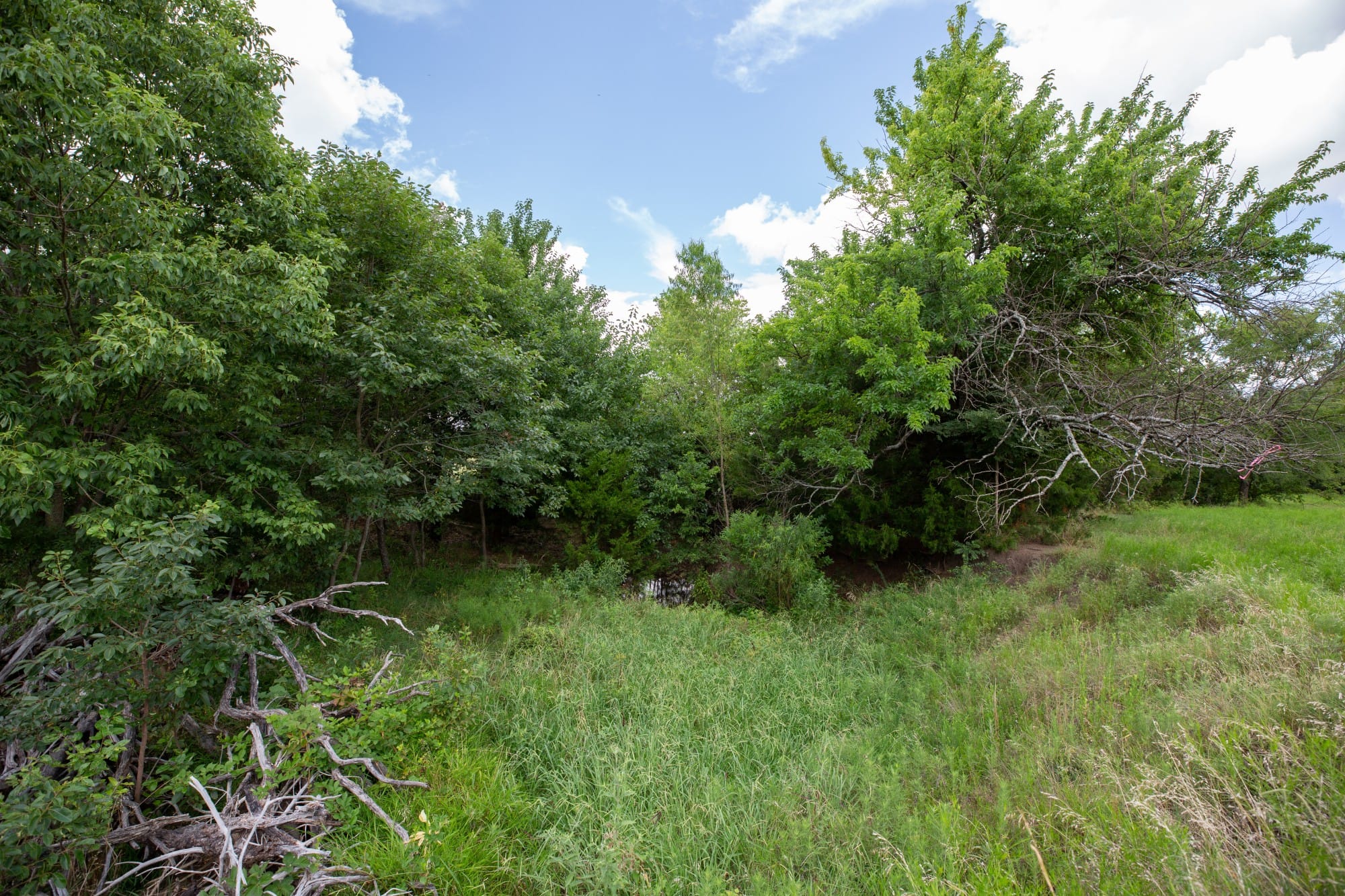 Paradise Valley Tract 2 photo 9